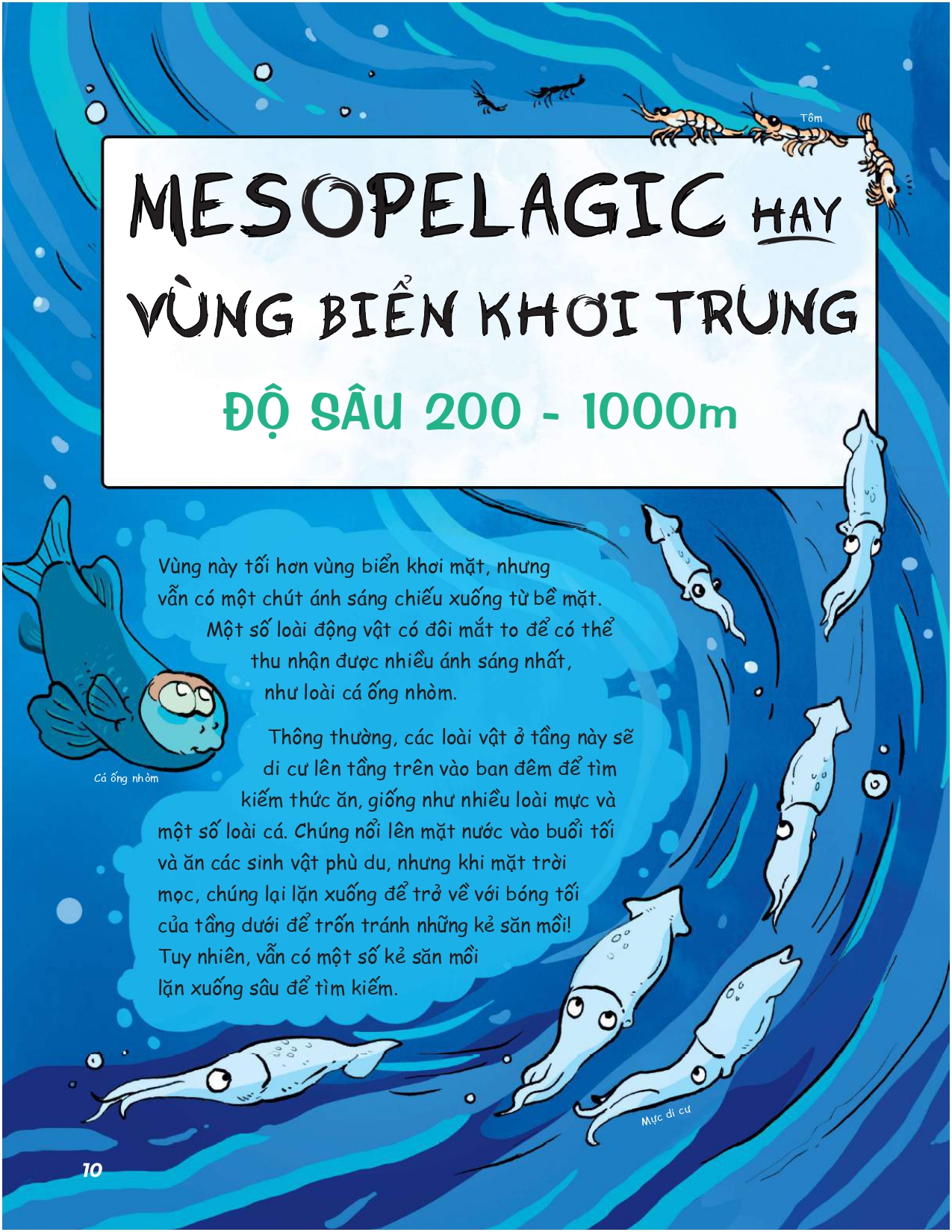 siêu nhí khám phá đại dương - Ảnh 10