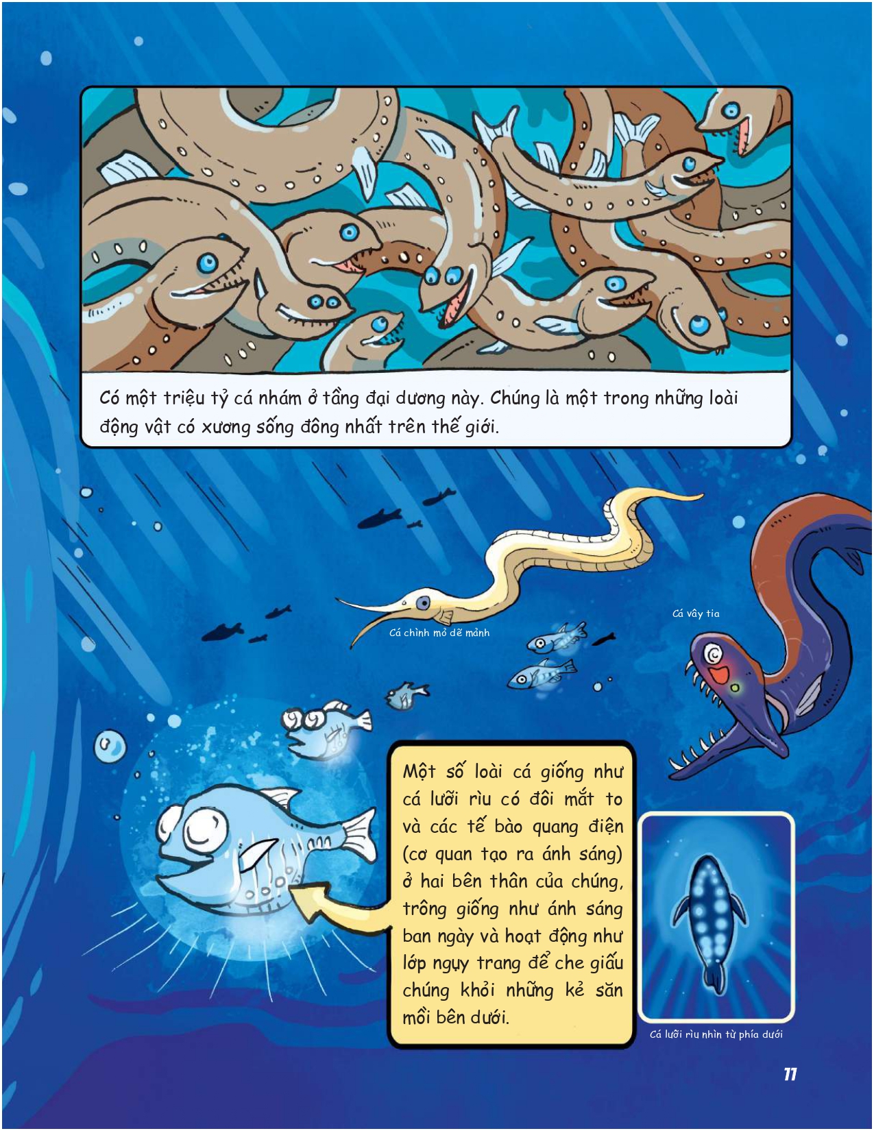 siêu nhí khám phá đại dương - Ảnh 11