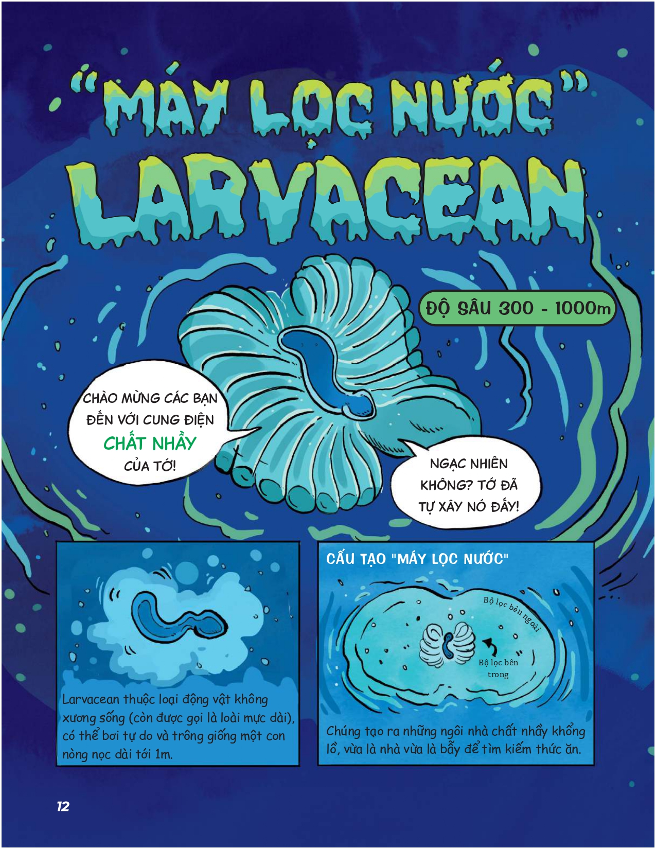 siêu nhí khám phá đại dương - Ảnh 12