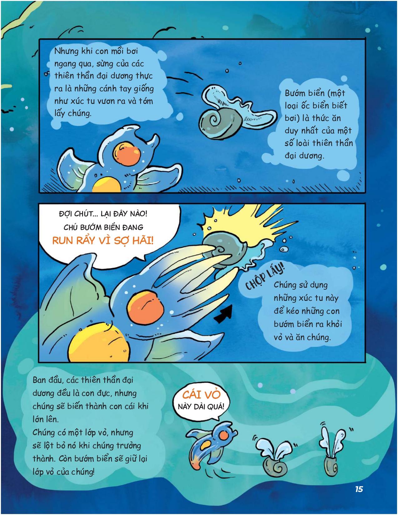 siêu nhí khám phá đại dương - Ảnh 15