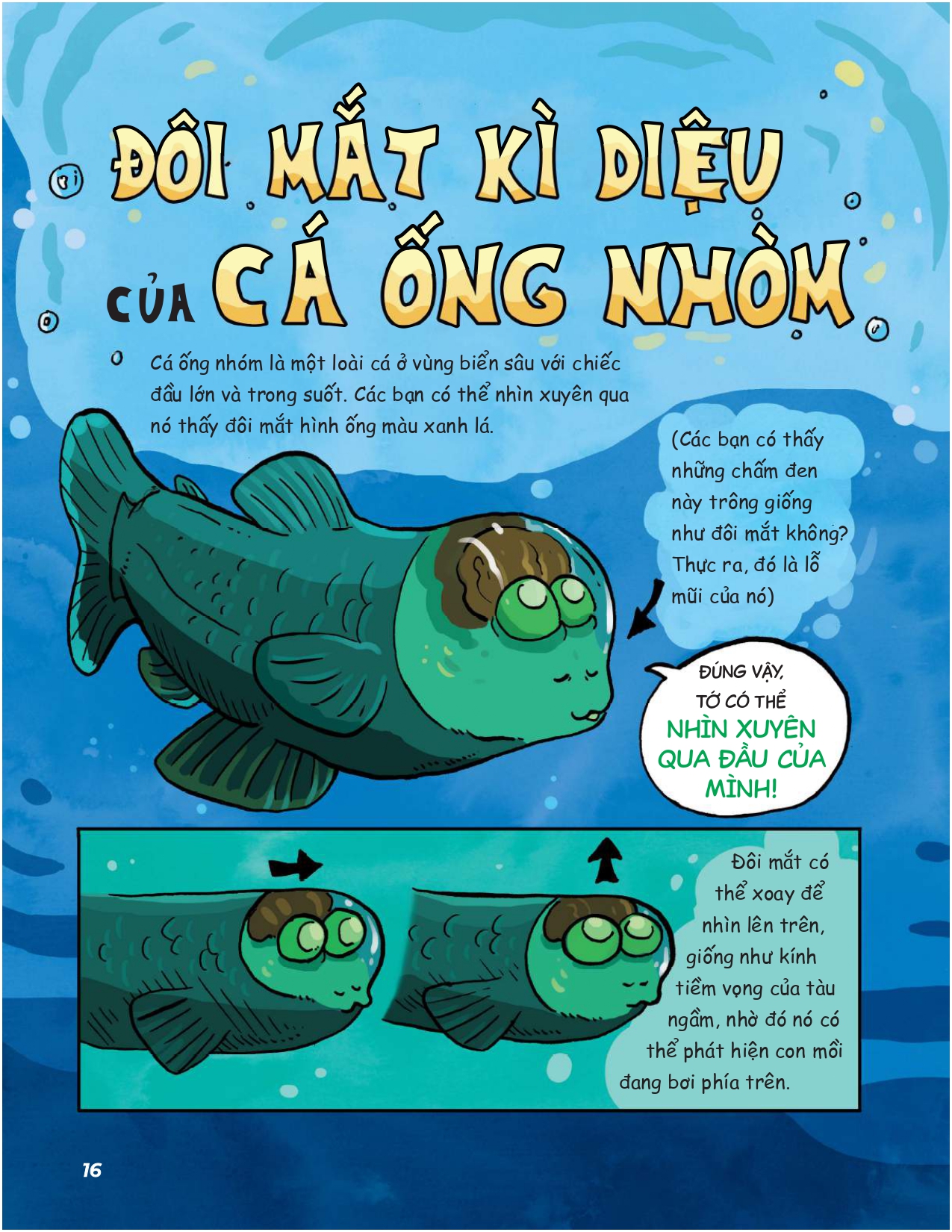 siêu nhí khám phá đại dương - Ảnh 16