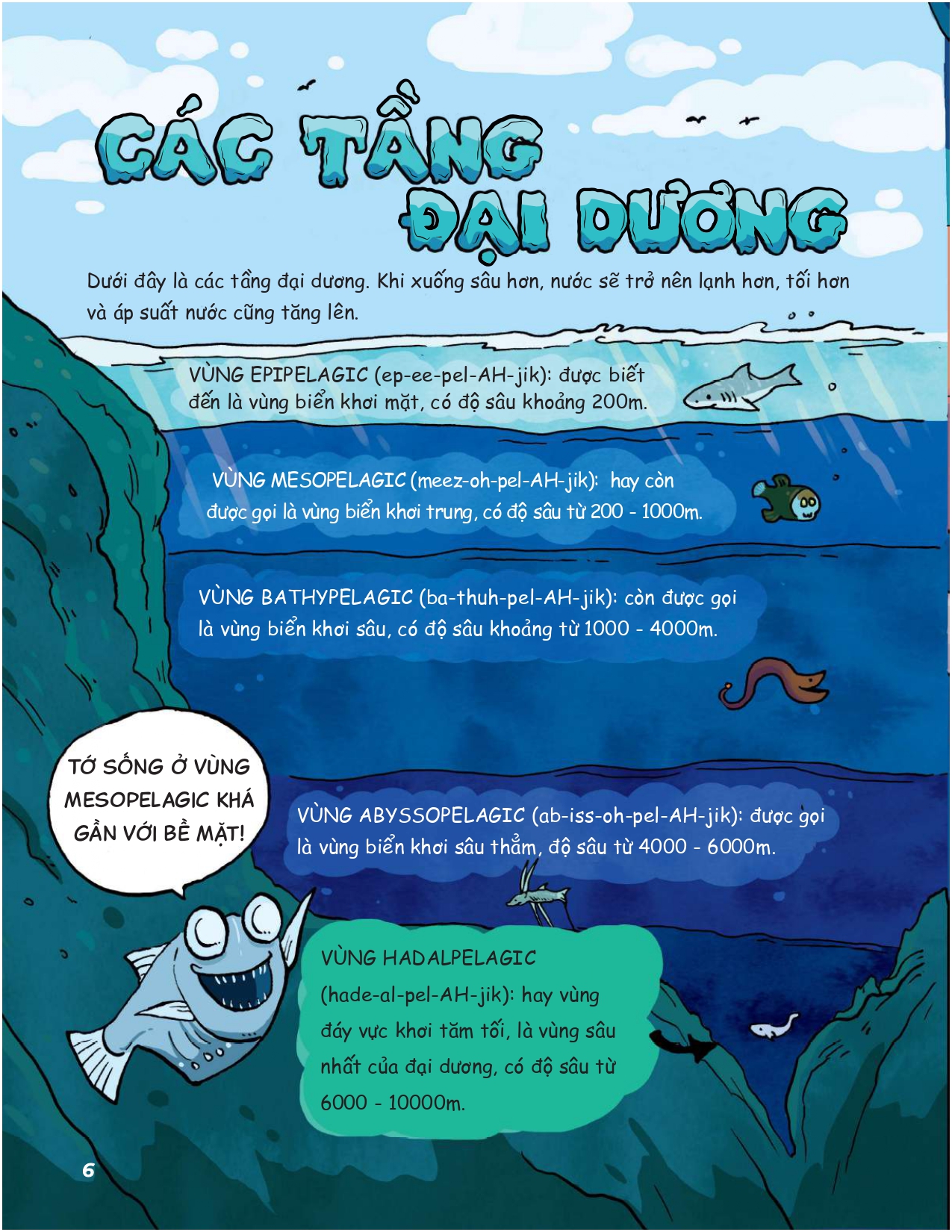 siêu nhí khám phá đại dương - Ảnh 6