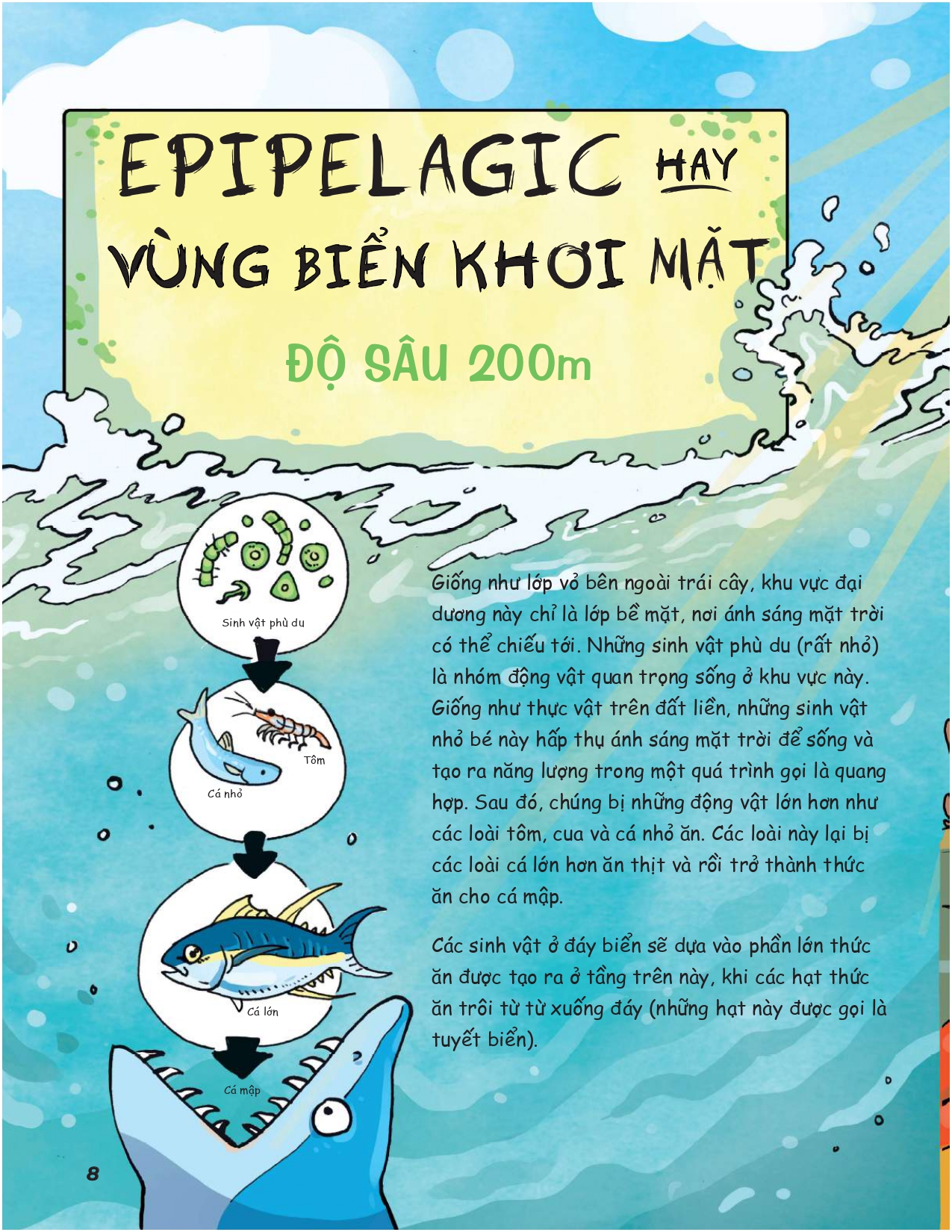 siêu nhí khám phá đại dương - Ảnh 8