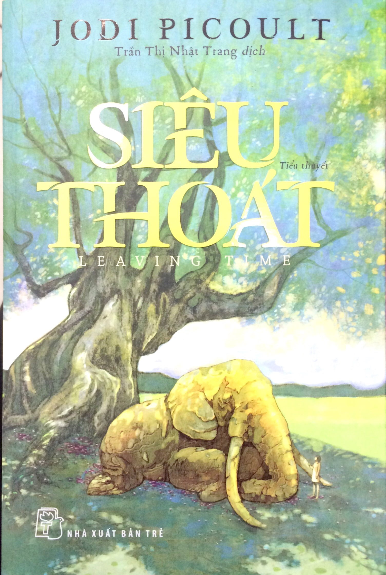 siêu thoát - Ảnh 11