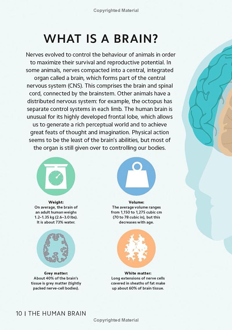 simply the brain - Ảnh 10