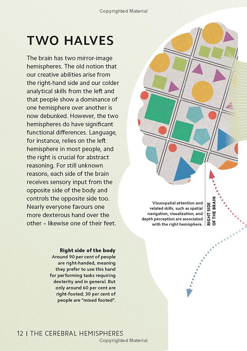 simply the brain - Ảnh 12