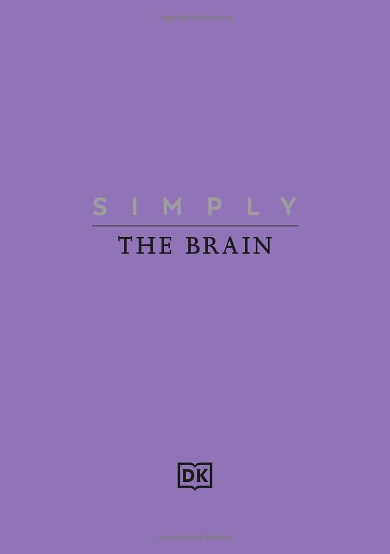 simply the brain - Ảnh 2