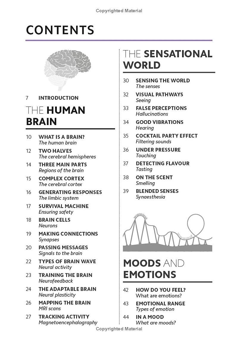 simply the brain - Ảnh 4