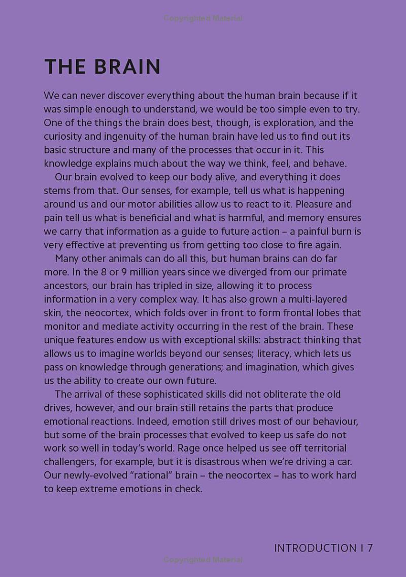 simply the brain - Ảnh 8