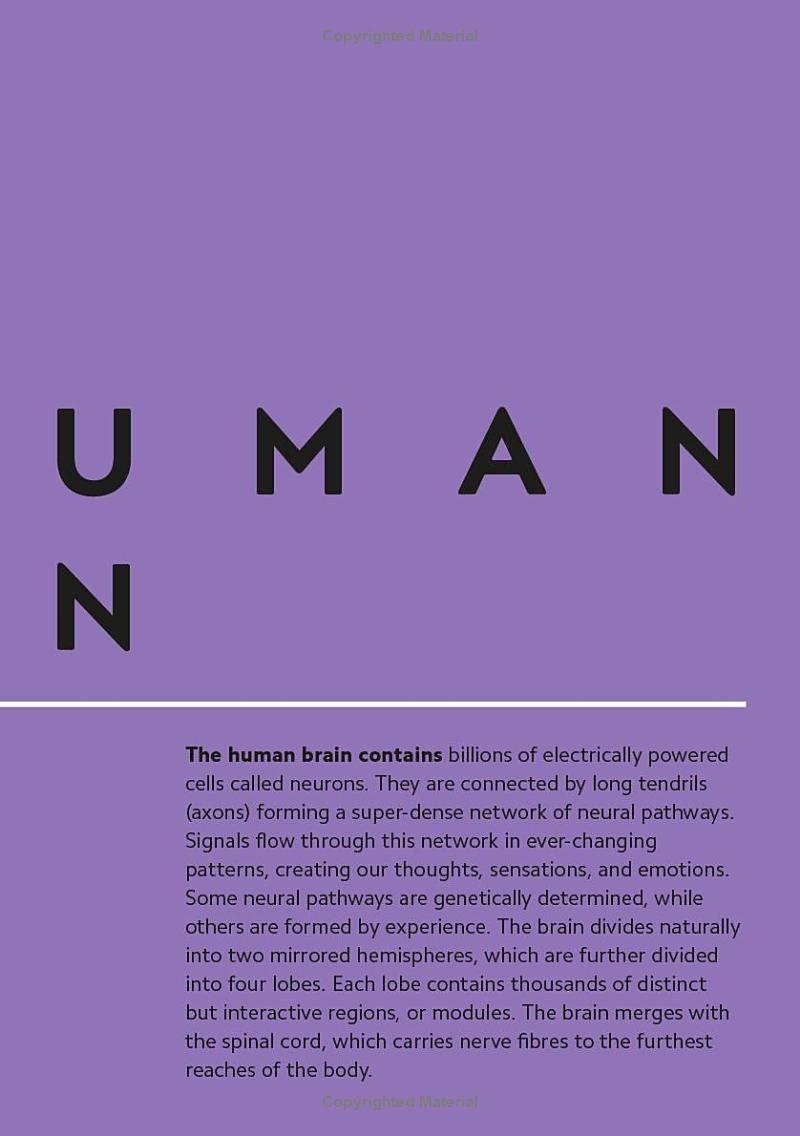 simply the brain - Ảnh 9