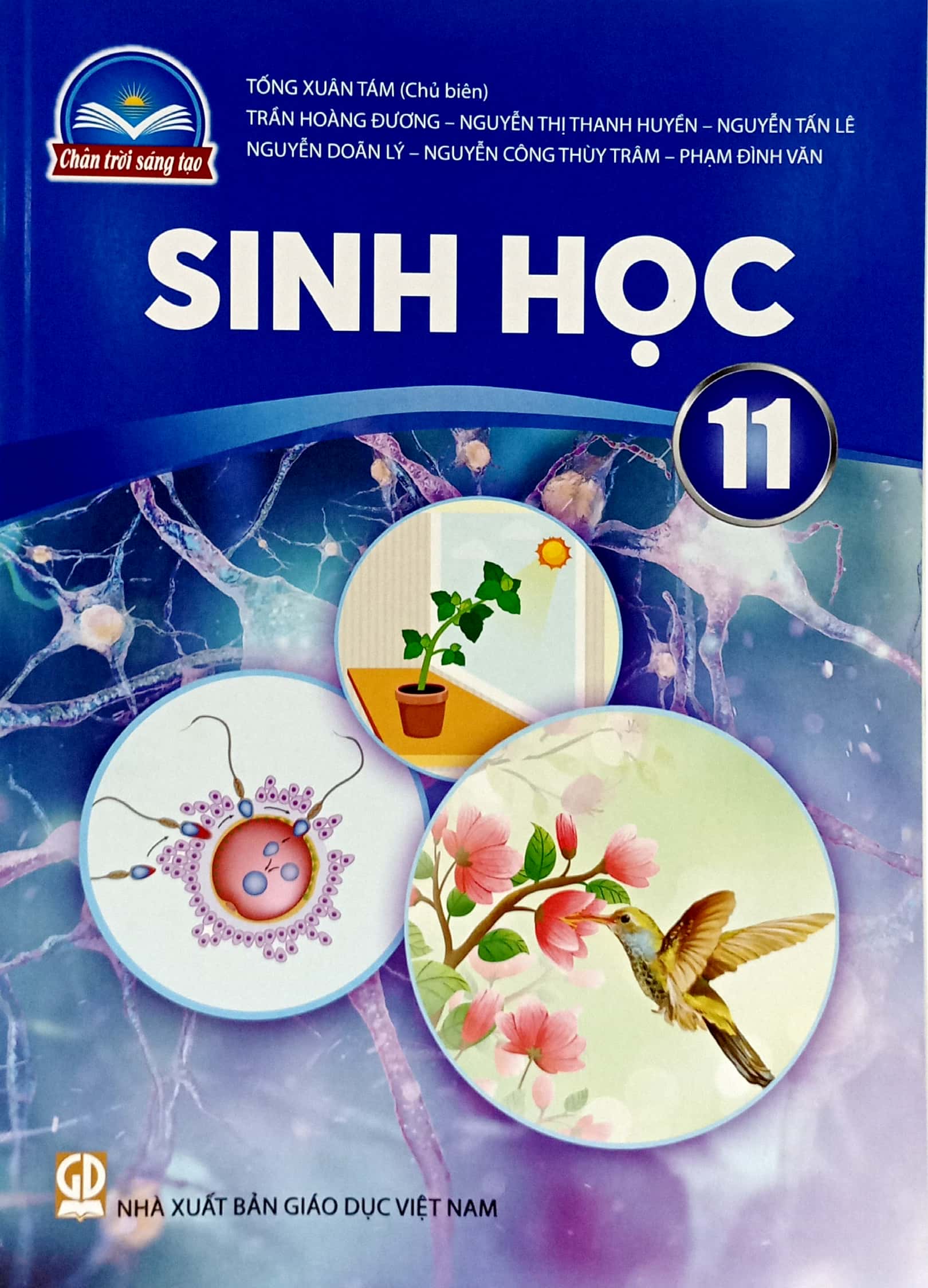 Sinh Hoc 11 (Chan Troi Sang Tao) (Chuan) - Ảnh 2