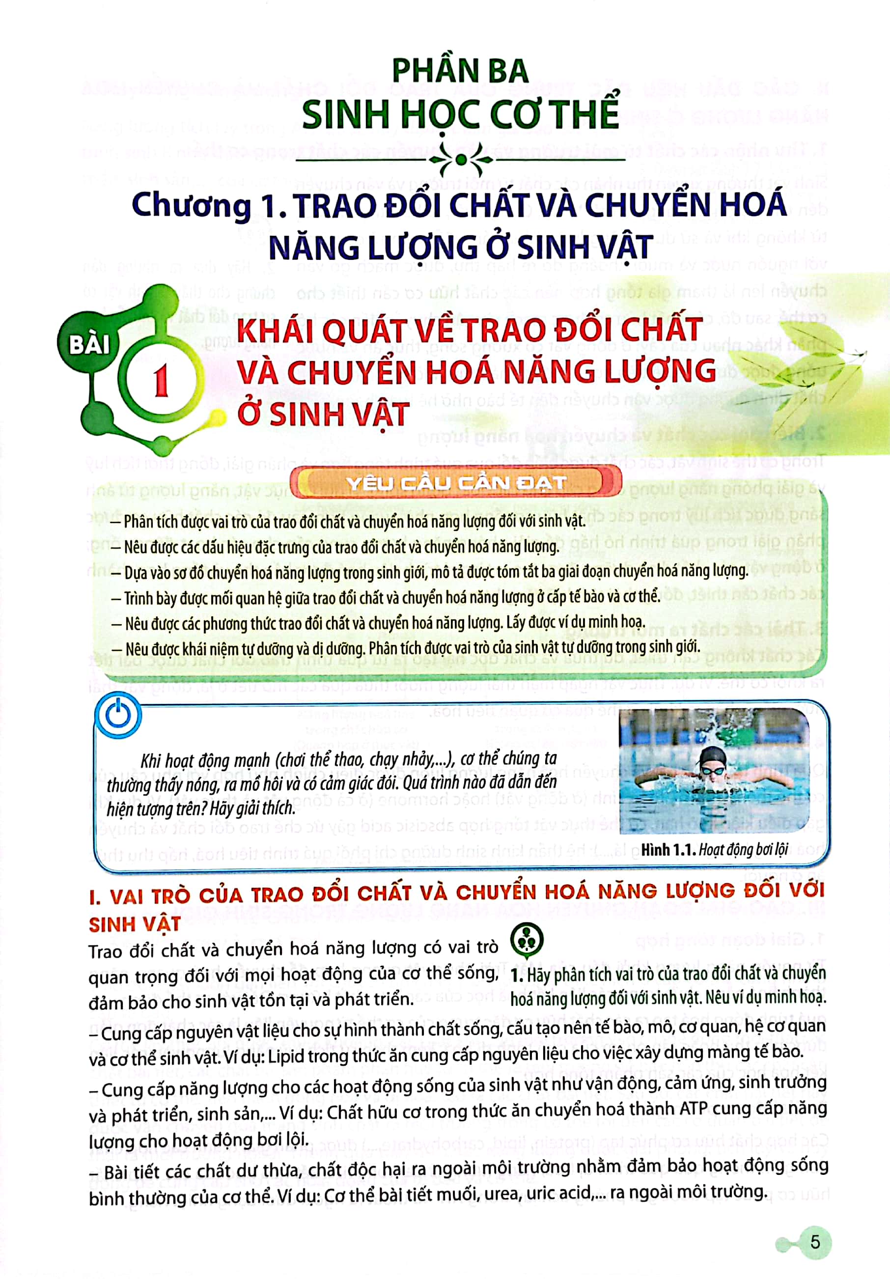 Sinh Hoc 11 (Chan Troi Sang Tao) (Chuan) - Ảnh 4