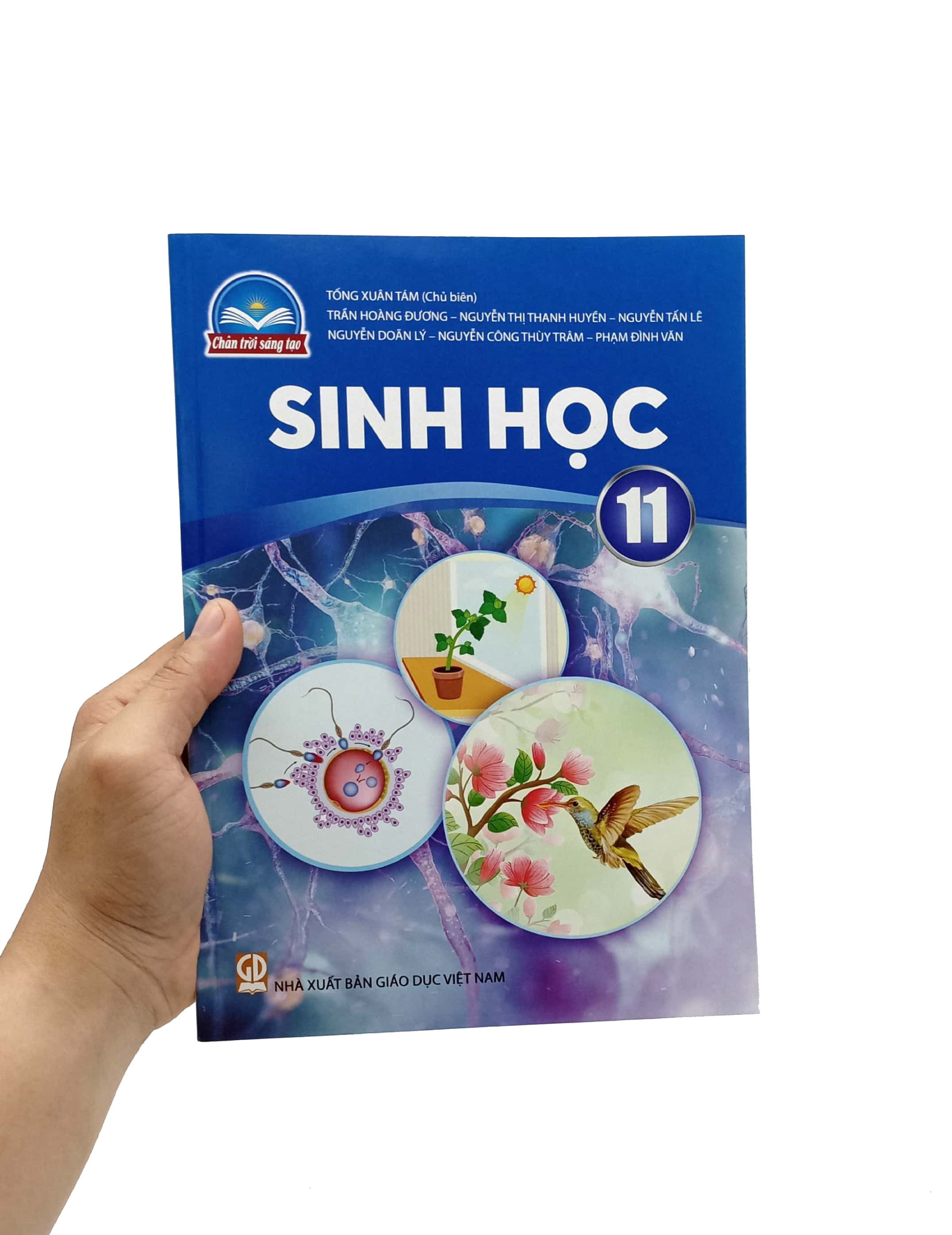 Sinh Hoc 11 (Chan Troi Sang Tao) (Chuan) - Ảnh 7