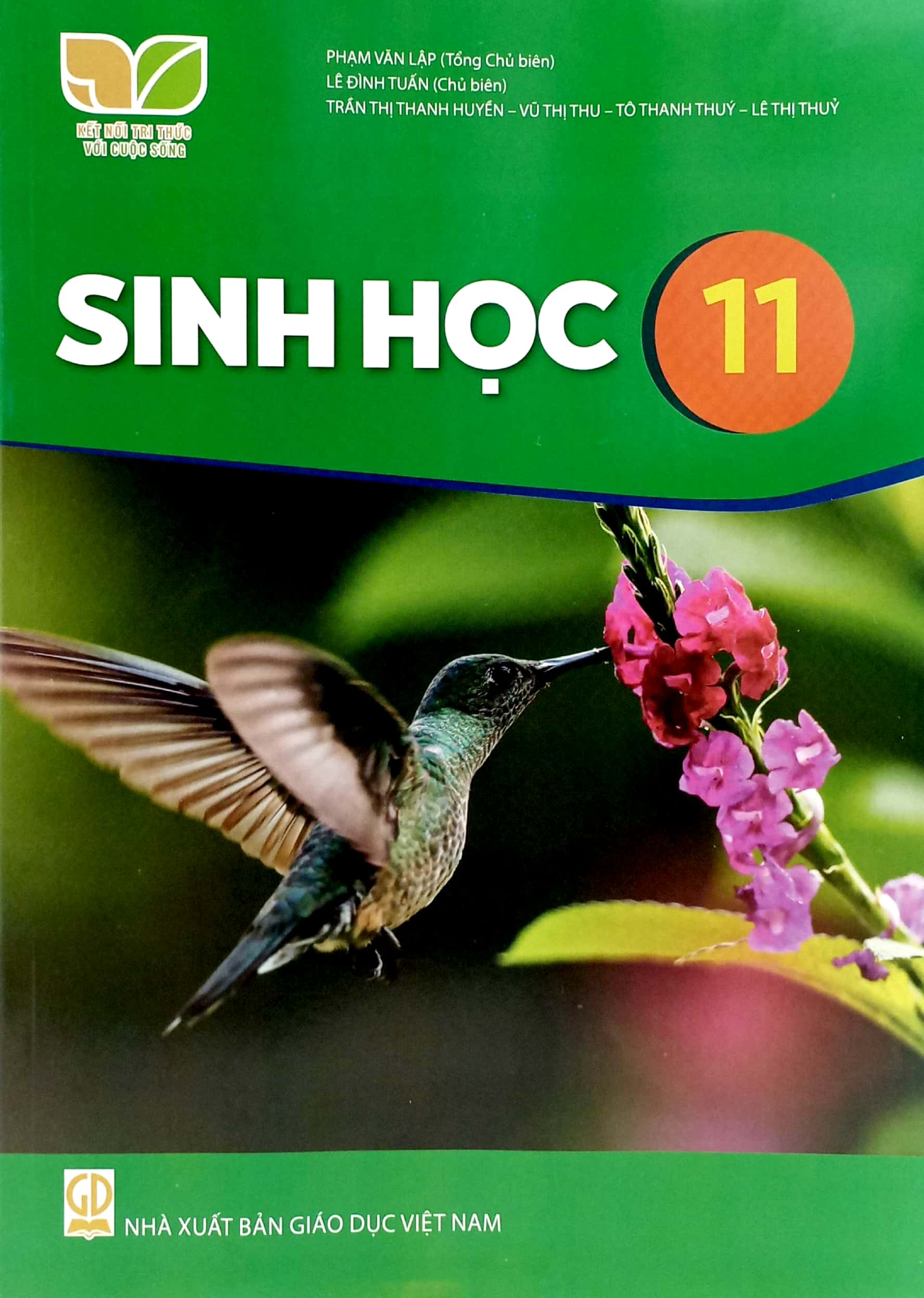 sinh học 11 (kết nối tri thức) (chuẩn) - Ảnh 2