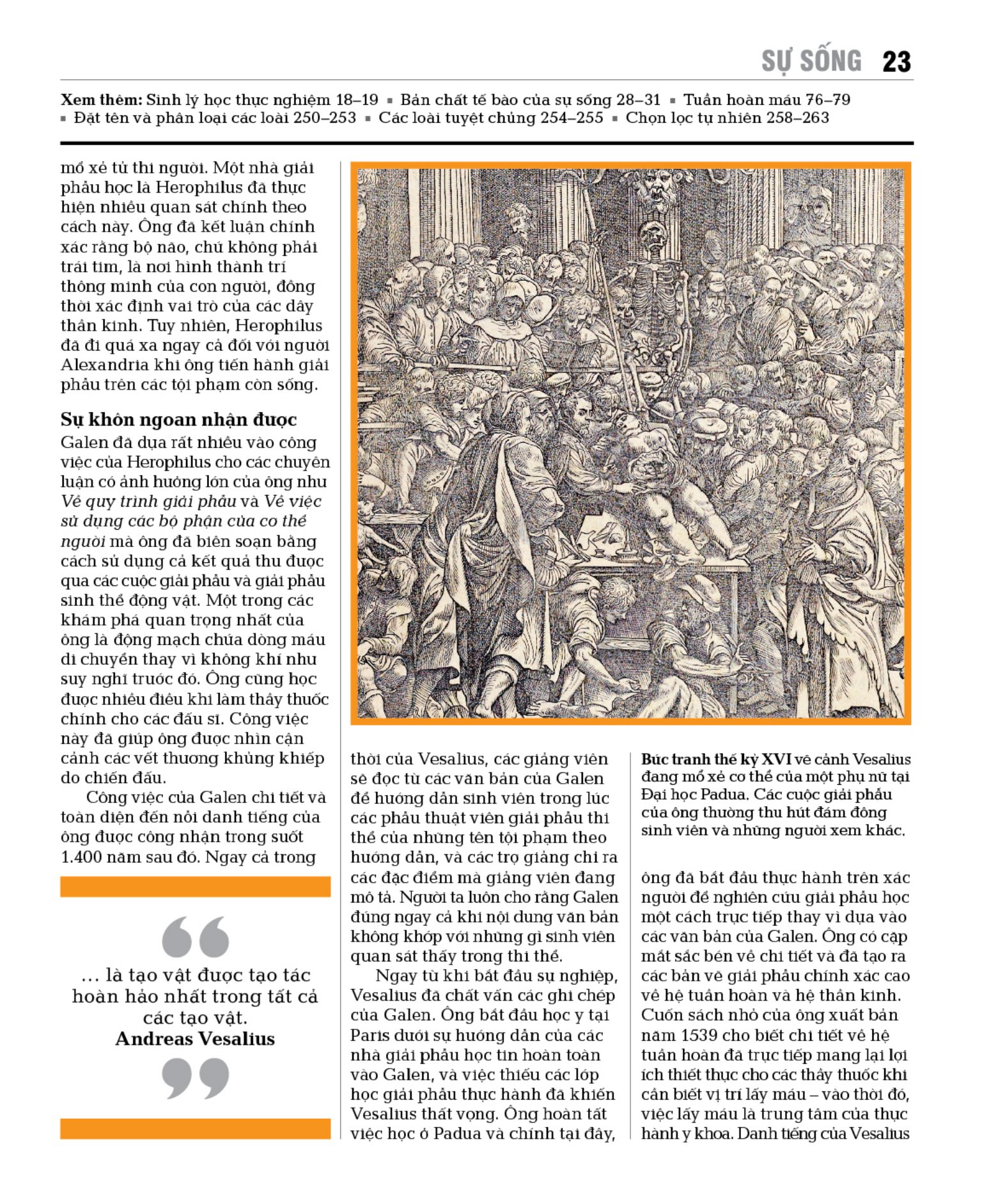 sinh học - khái lược những tư tưởng lớn - bìa cứng - Ảnh 18