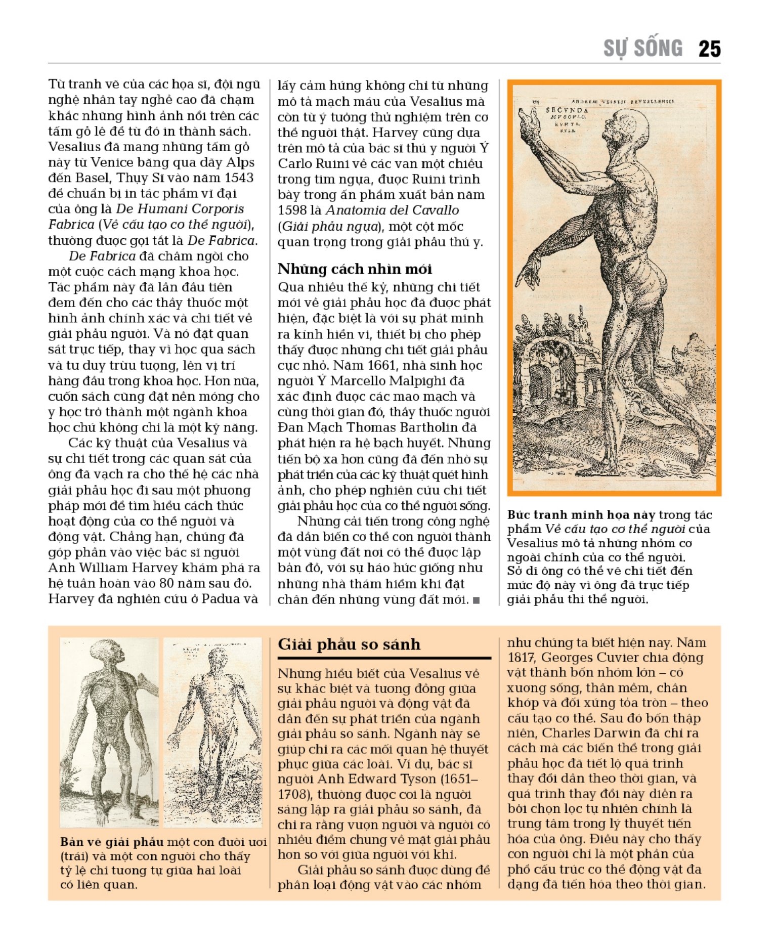 sinh học - khái lược những tư tưởng lớn - bìa cứng - Ảnh 20