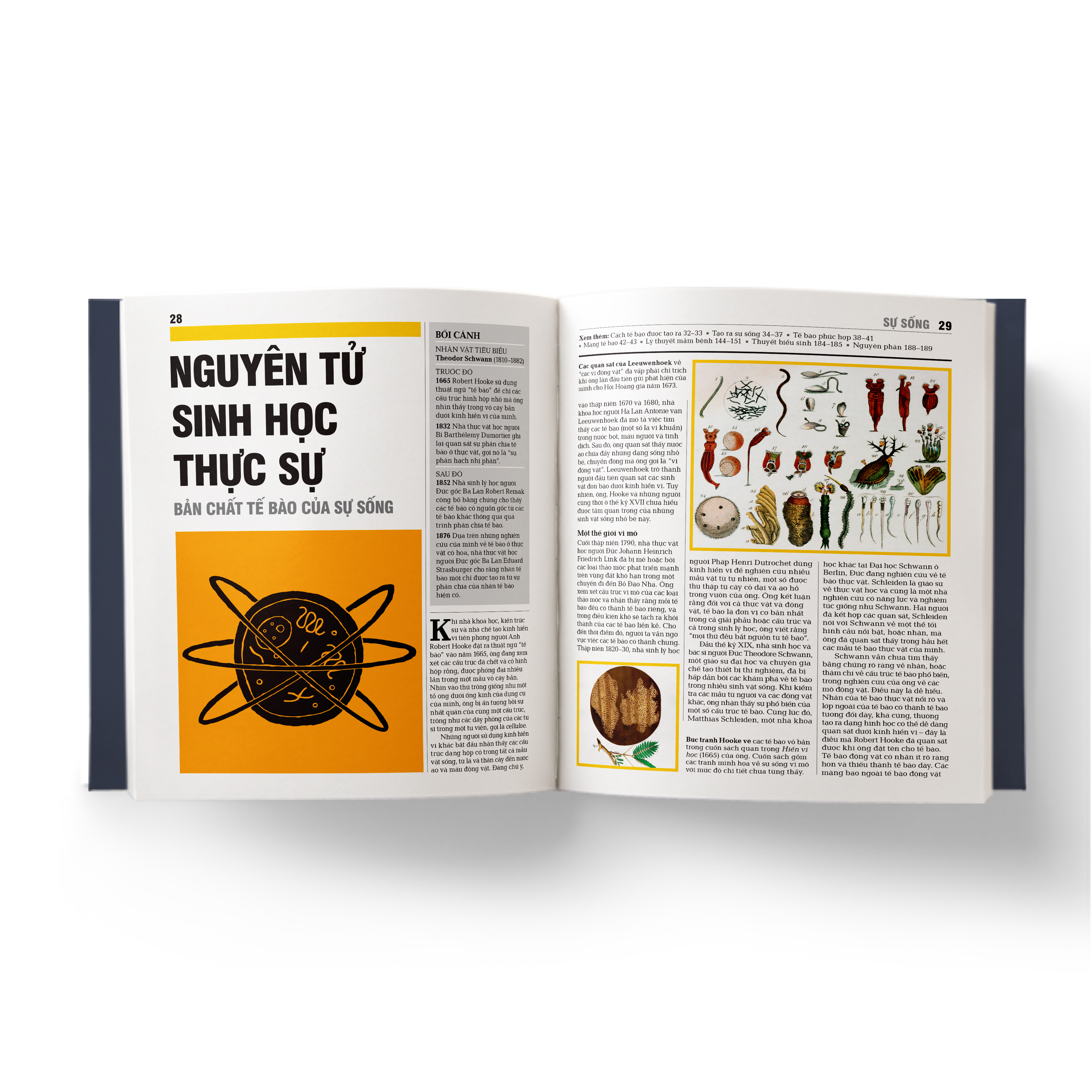 sinh học - khái lược những tư tưởng lớn - bìa cứng - Ảnh 6