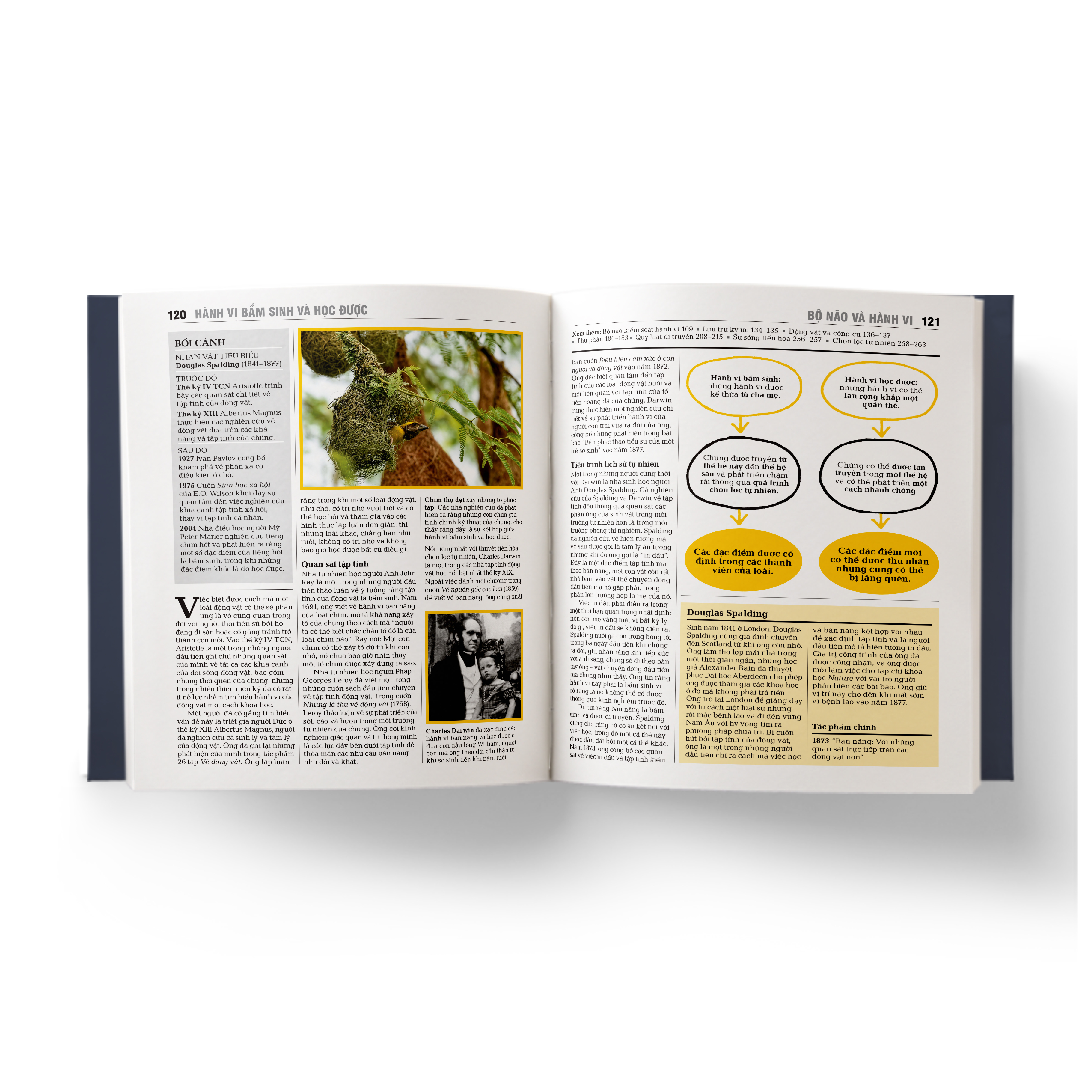 sinh học - khái lược những tư tưởng lớn - bìa cứng - Ảnh 7