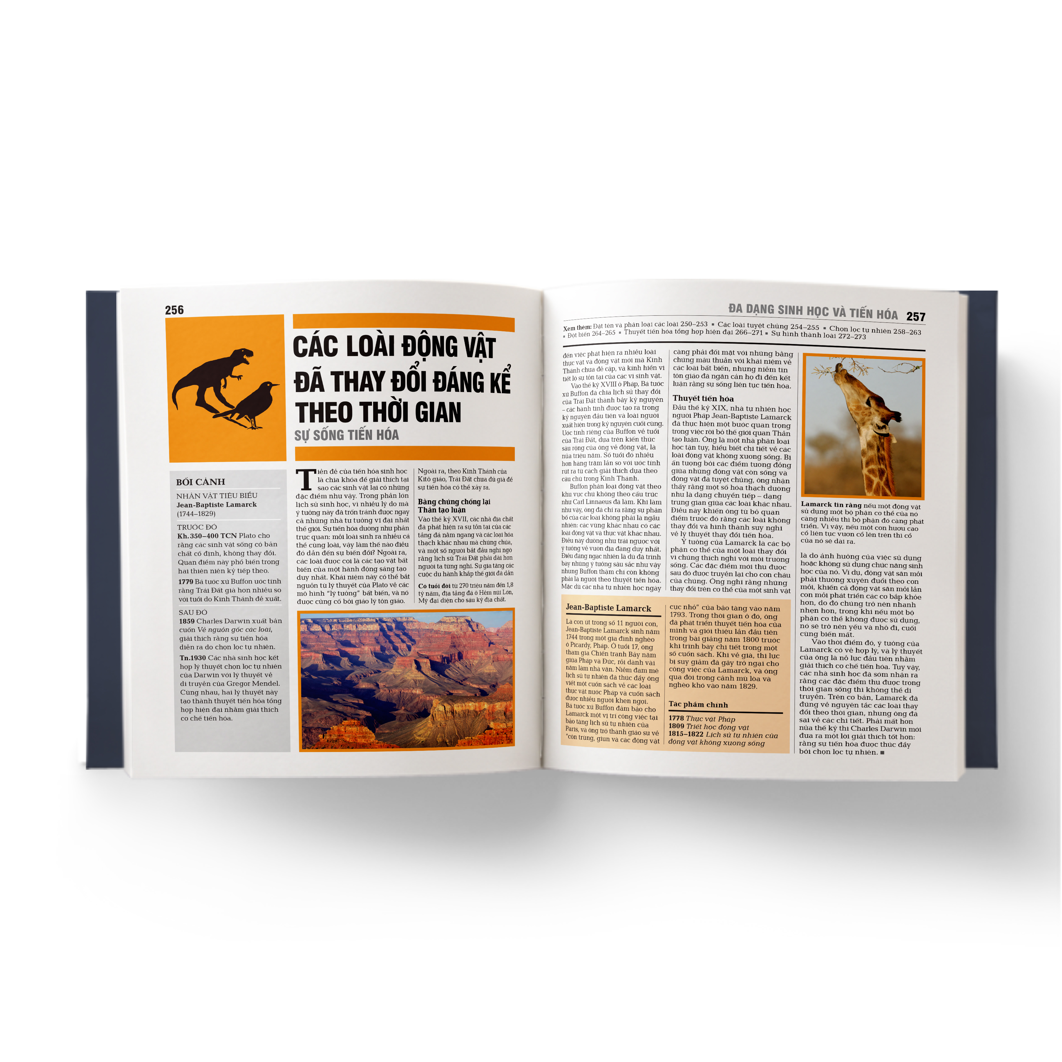 sinh học - khái lược những tư tưởng lớn - bìa cứng - Ảnh 8