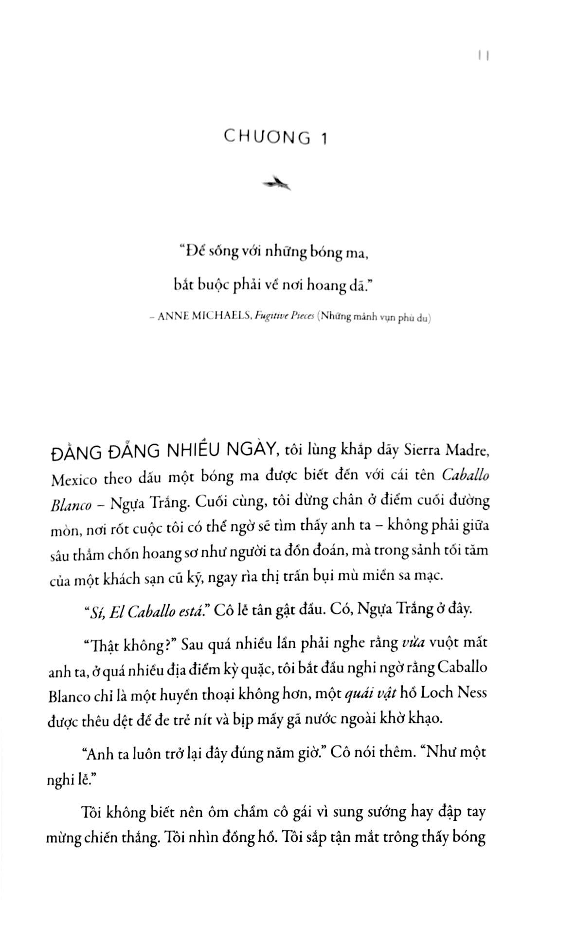 sinh ra để chạy (tái bản 2023) - Ảnh 5