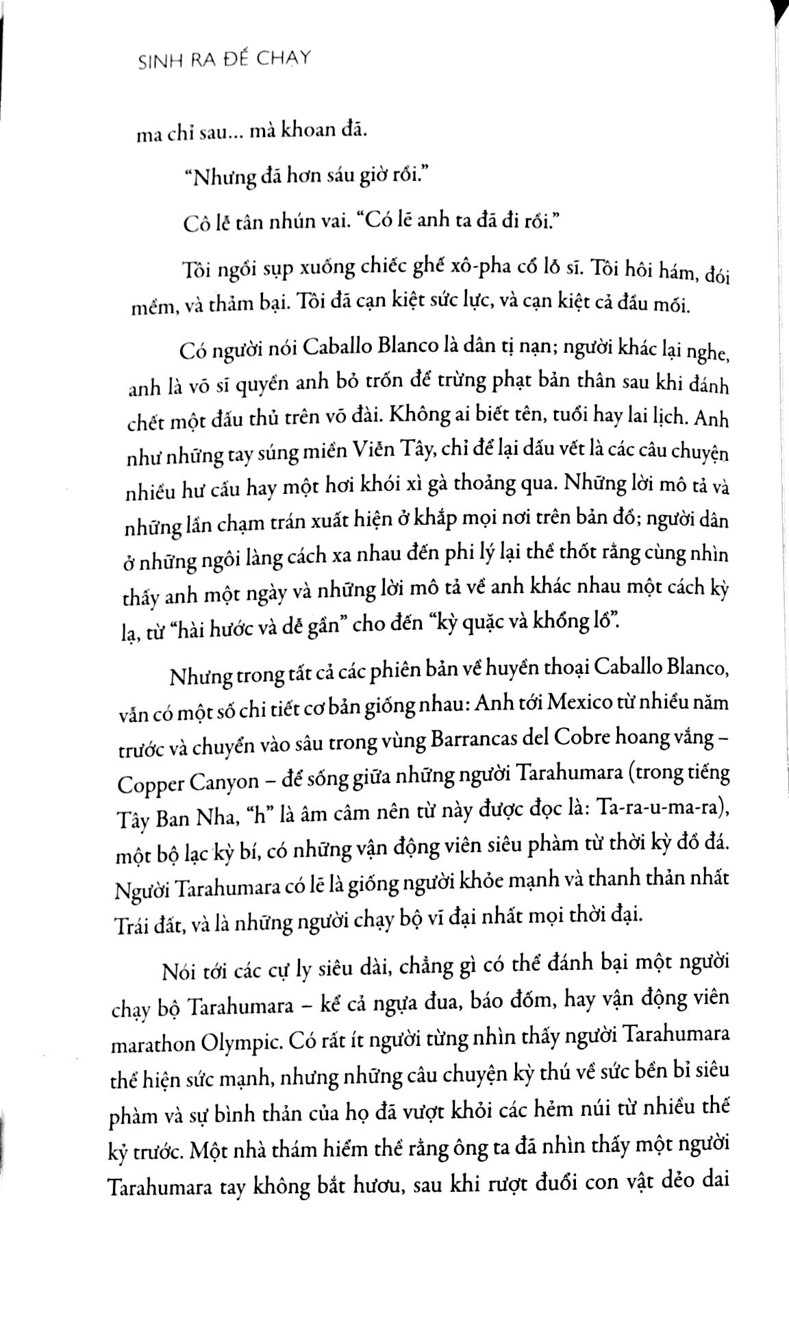 sinh ra để chạy (tái bản 2023) - Ảnh 6