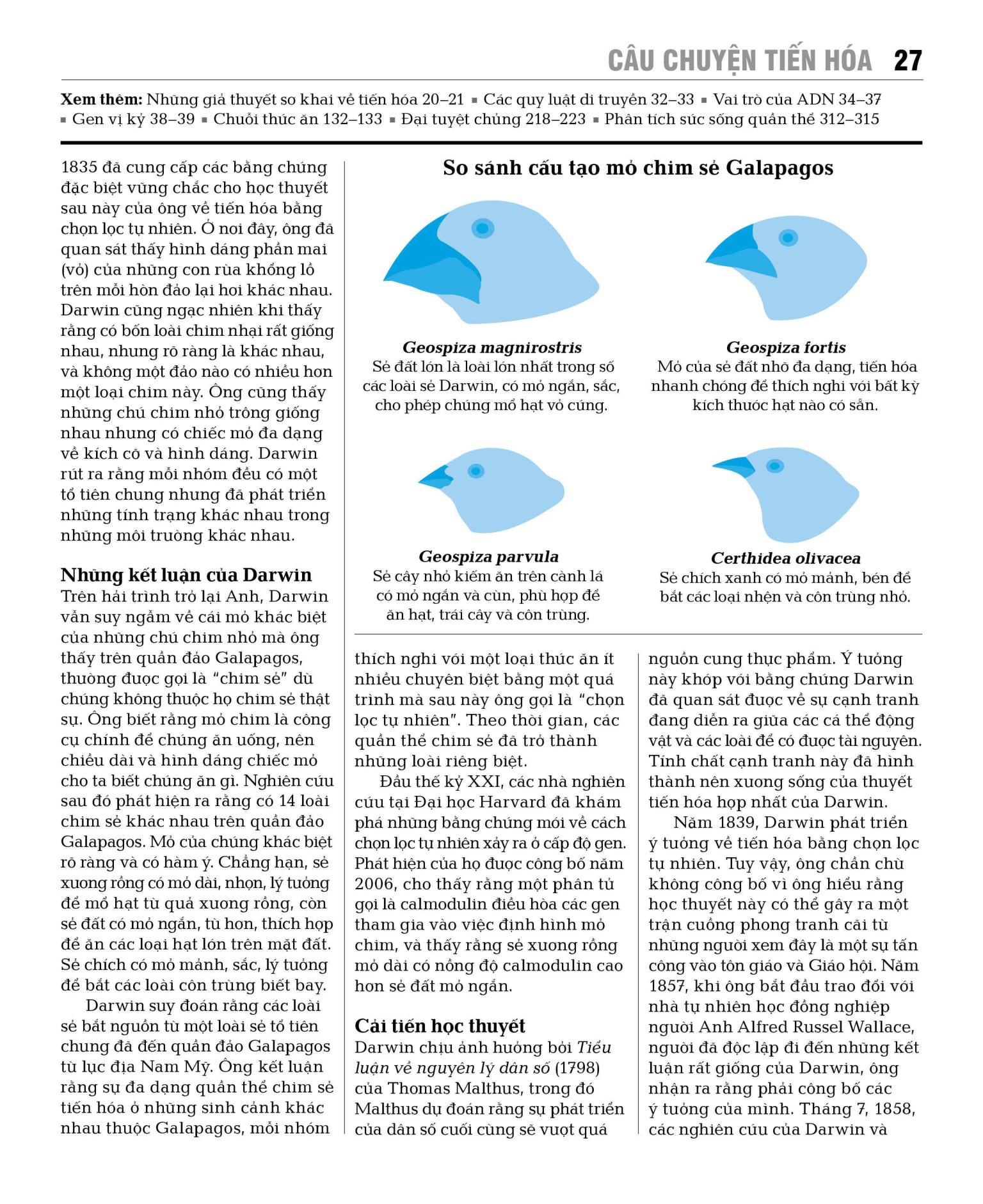 sinh thái học - khái lược những tư tưởng lớn - bìa cứng - Ảnh 15