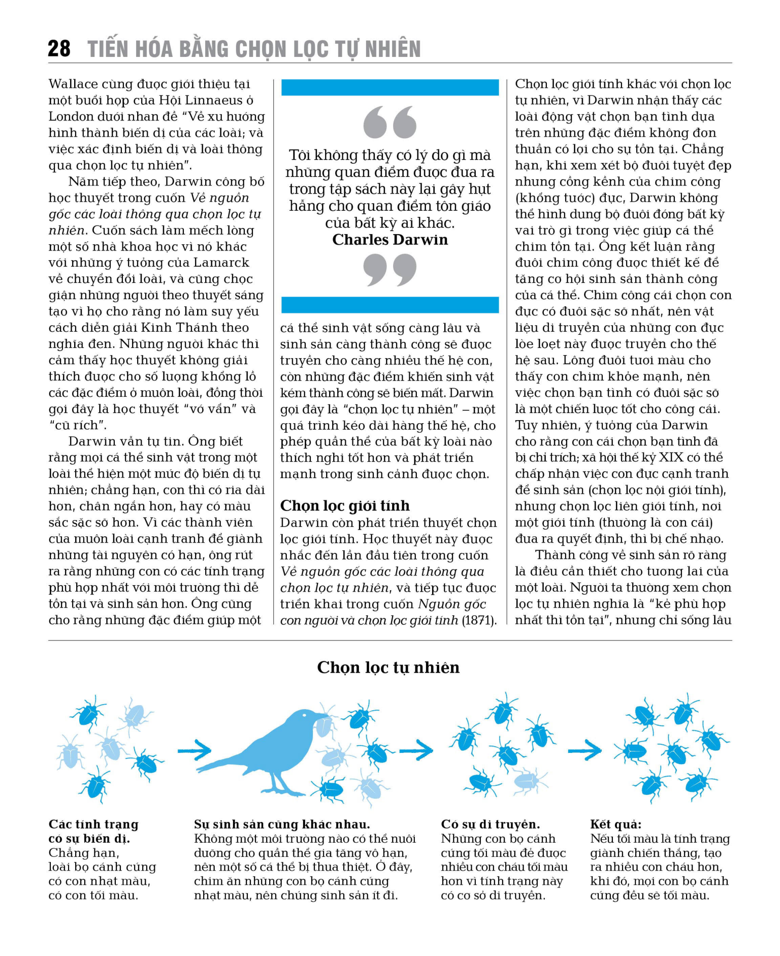 sinh thái học - khái lược những tư tưởng lớn - bìa cứng - Ảnh 16