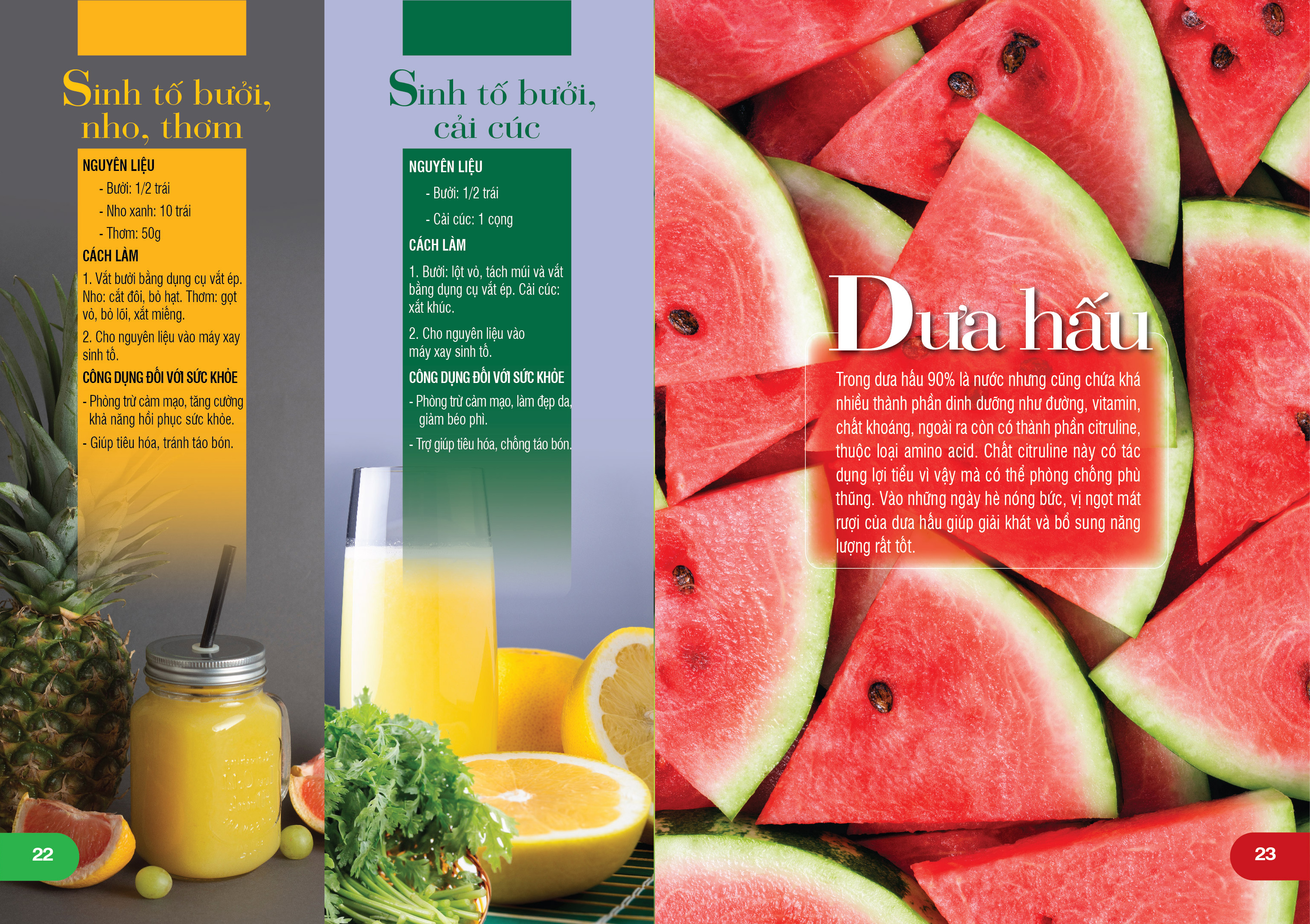 sinh tố trái cây làm đẹp & tăng đề kháng - Ảnh 4