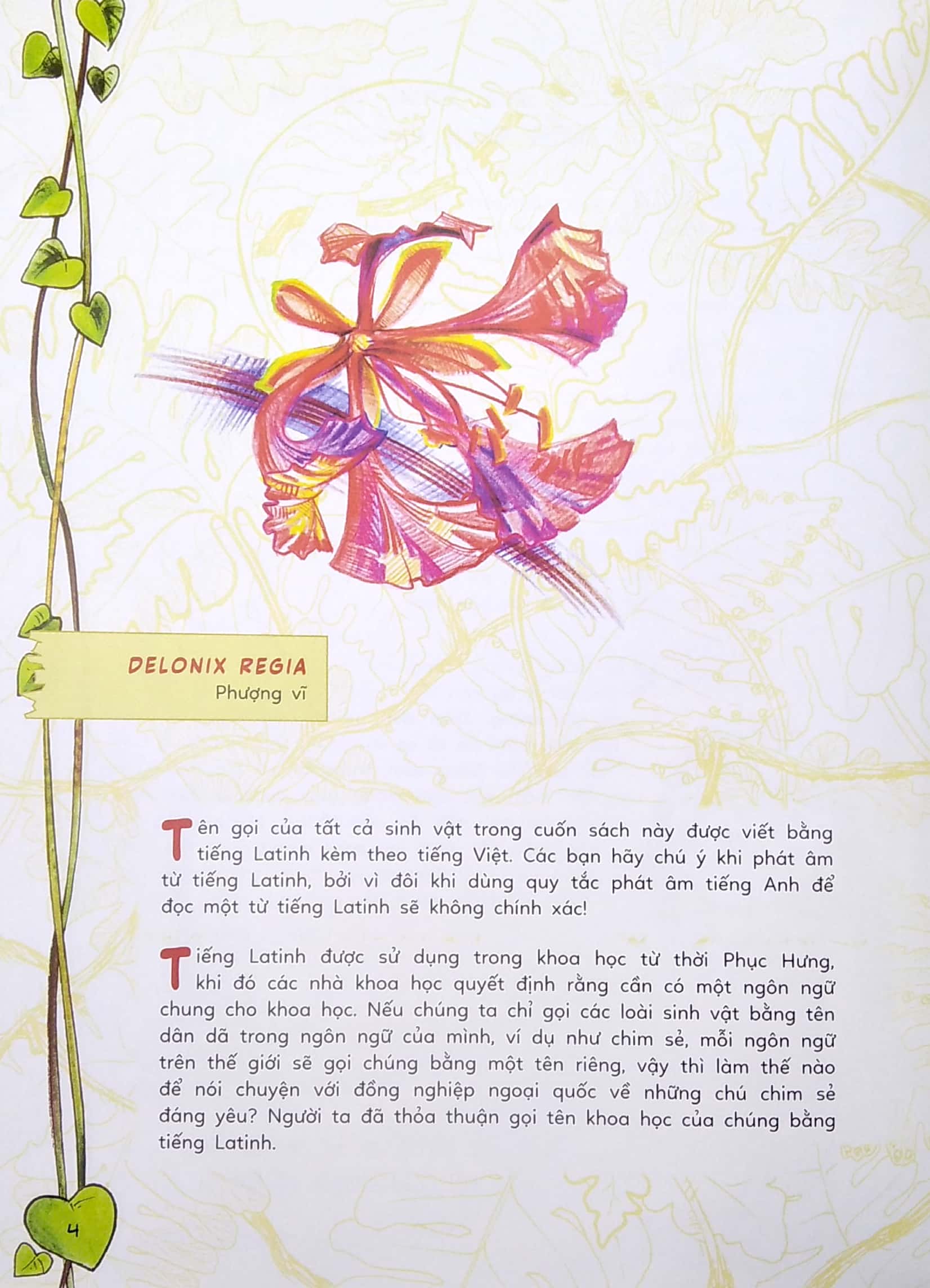 sinh vật học kỳ thú - bọ cánh cứng, nhện và những người bạn khác - Ảnh 5