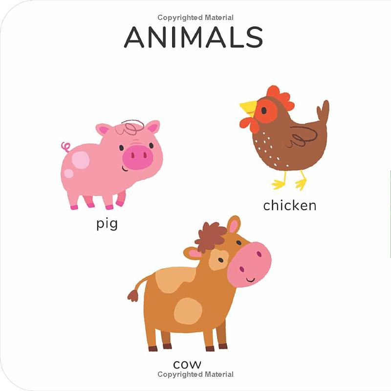 slide and see first words - farm - Ảnh 11