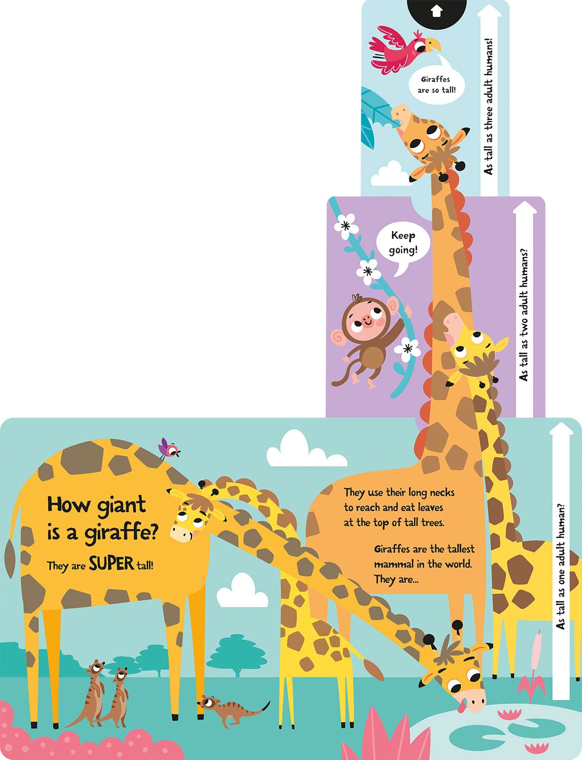 slide and seek - how loud is a lion? - Ảnh 10