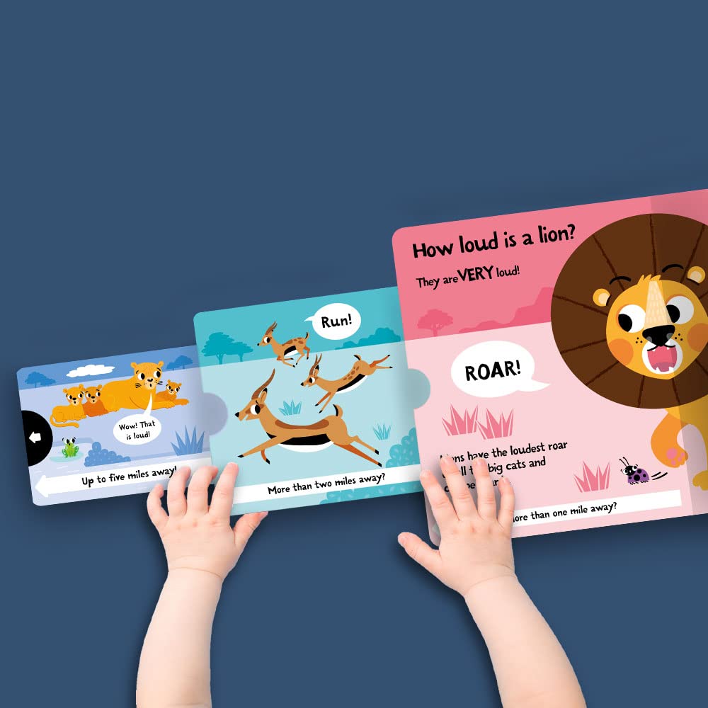 slide and seek - how loud is a lion? - Ảnh 4