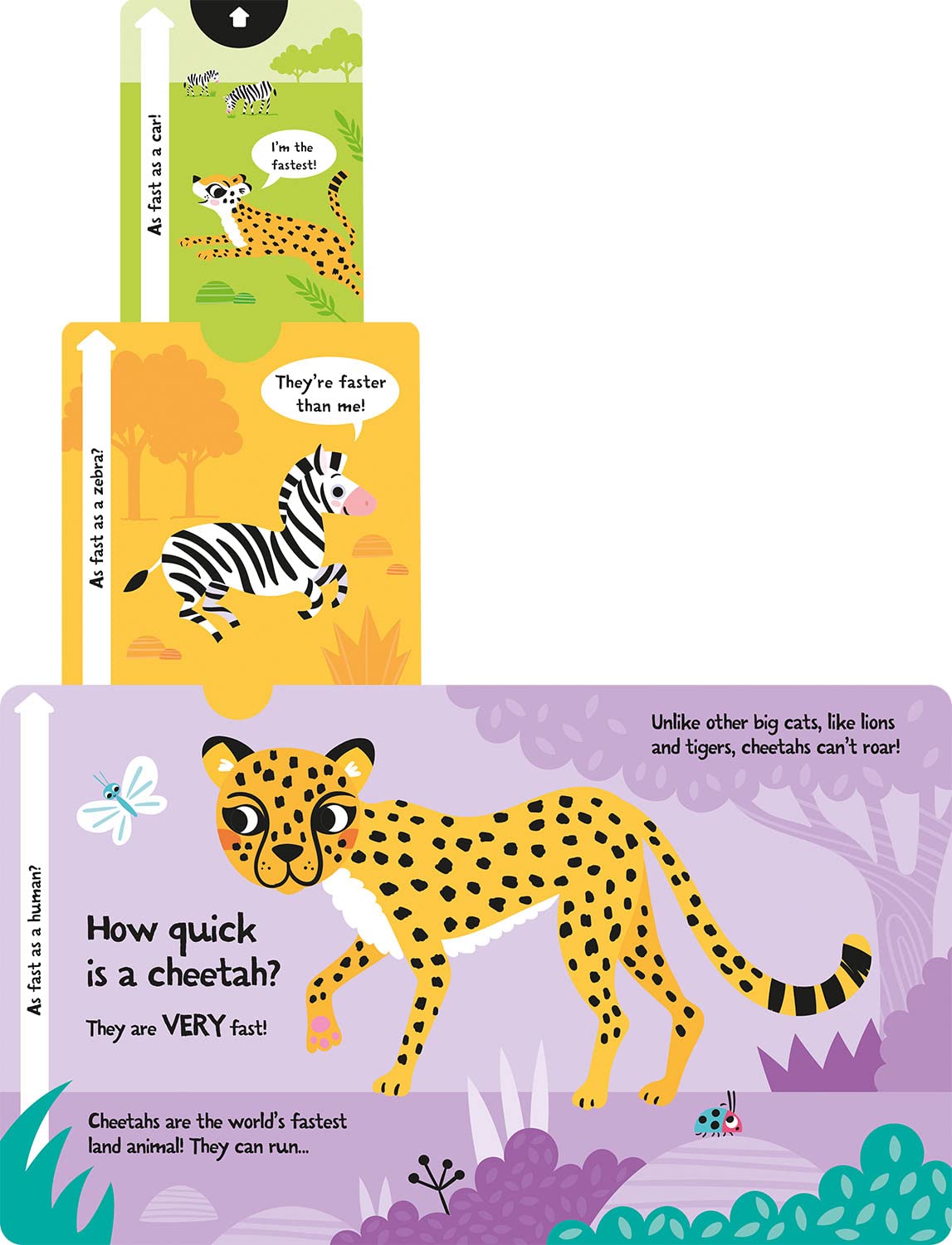 slide and seek - how loud is a lion? - Ảnh 9