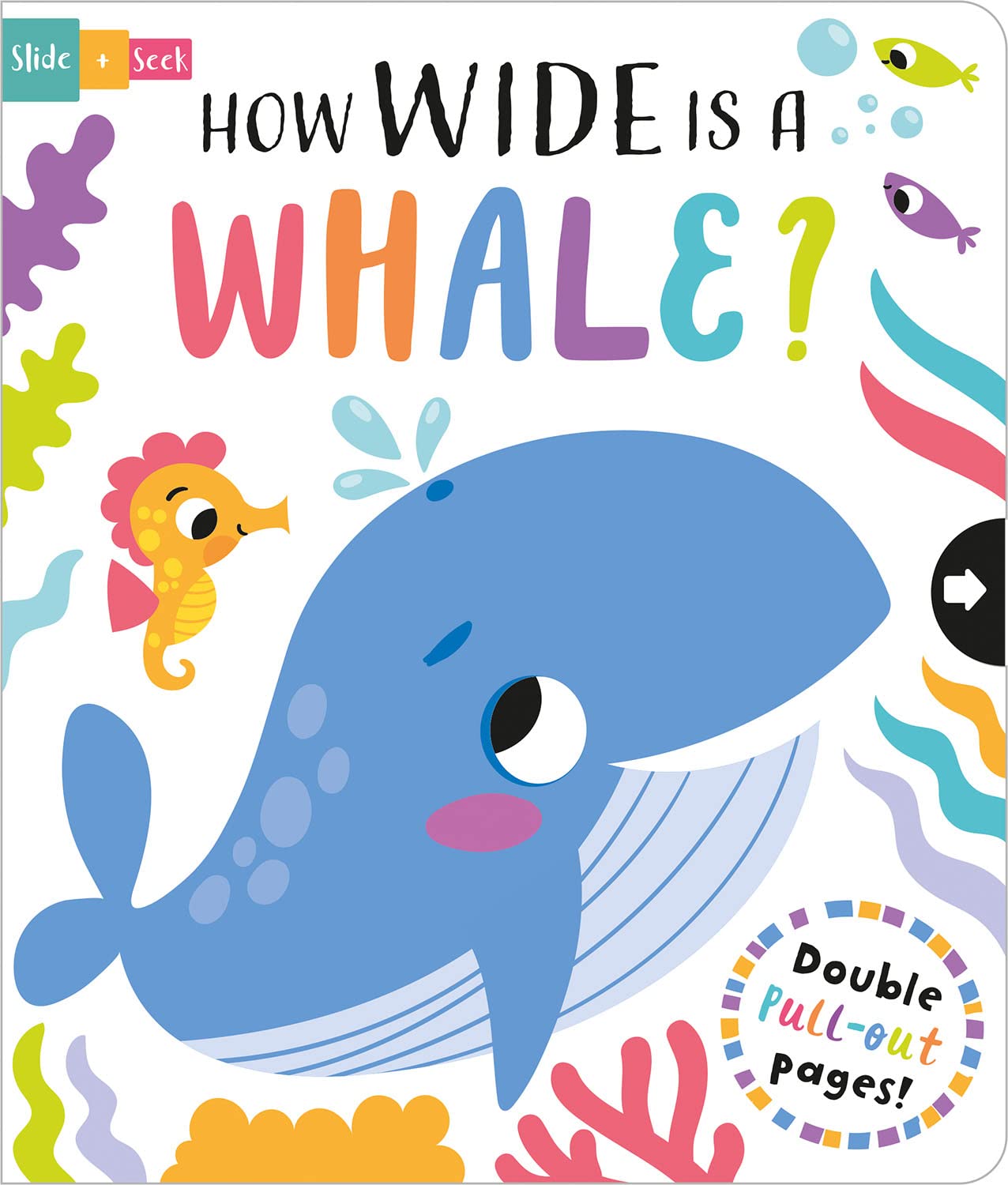 slide and seek - how wide is a whale? - Ảnh 2