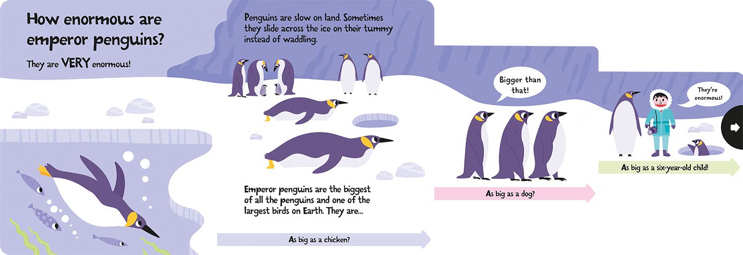 slide and seek - how wide is a whale? - Ảnh 3