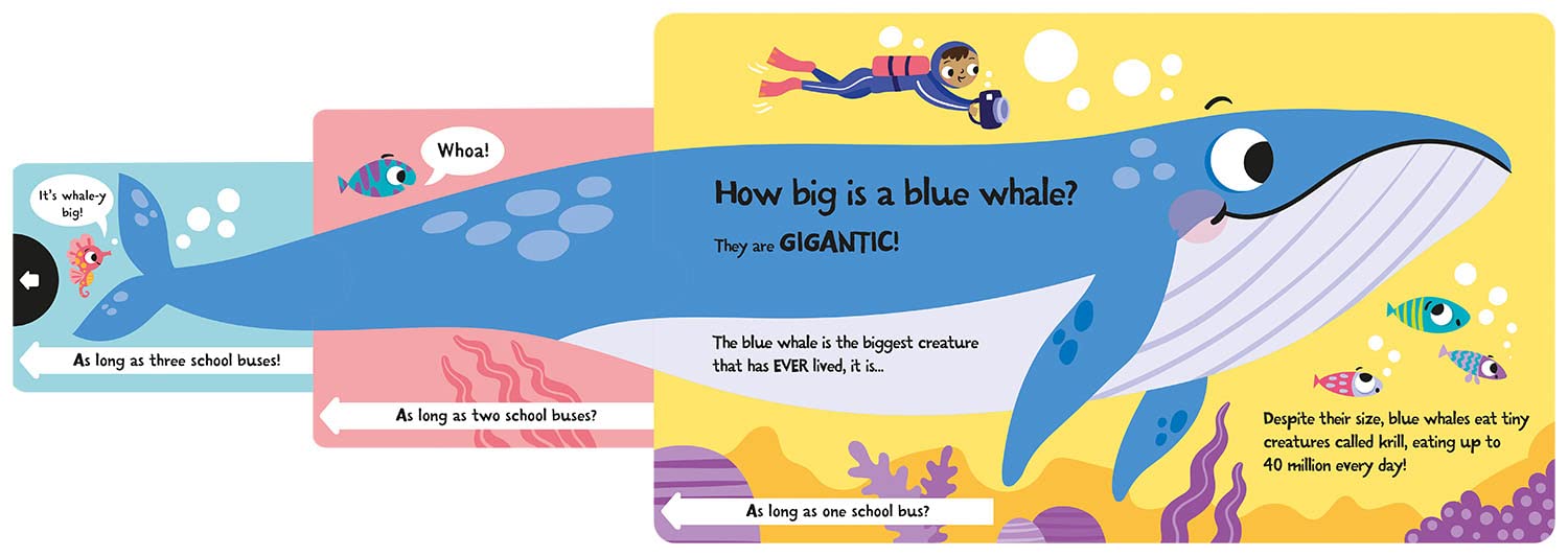 slide and seek - how wide is a whale? - Ảnh 4