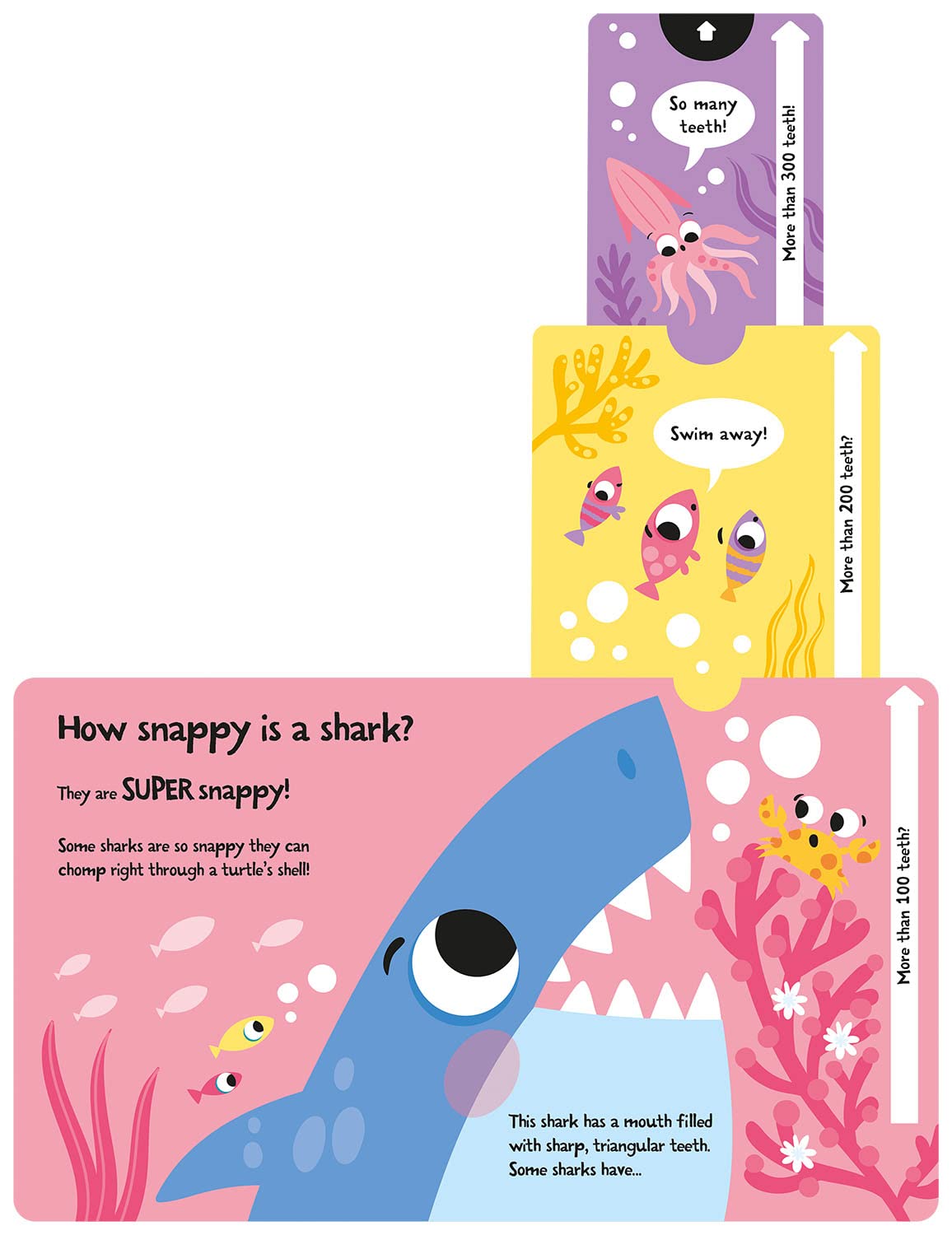 slide and seek - how wide is a whale? - Ảnh 5