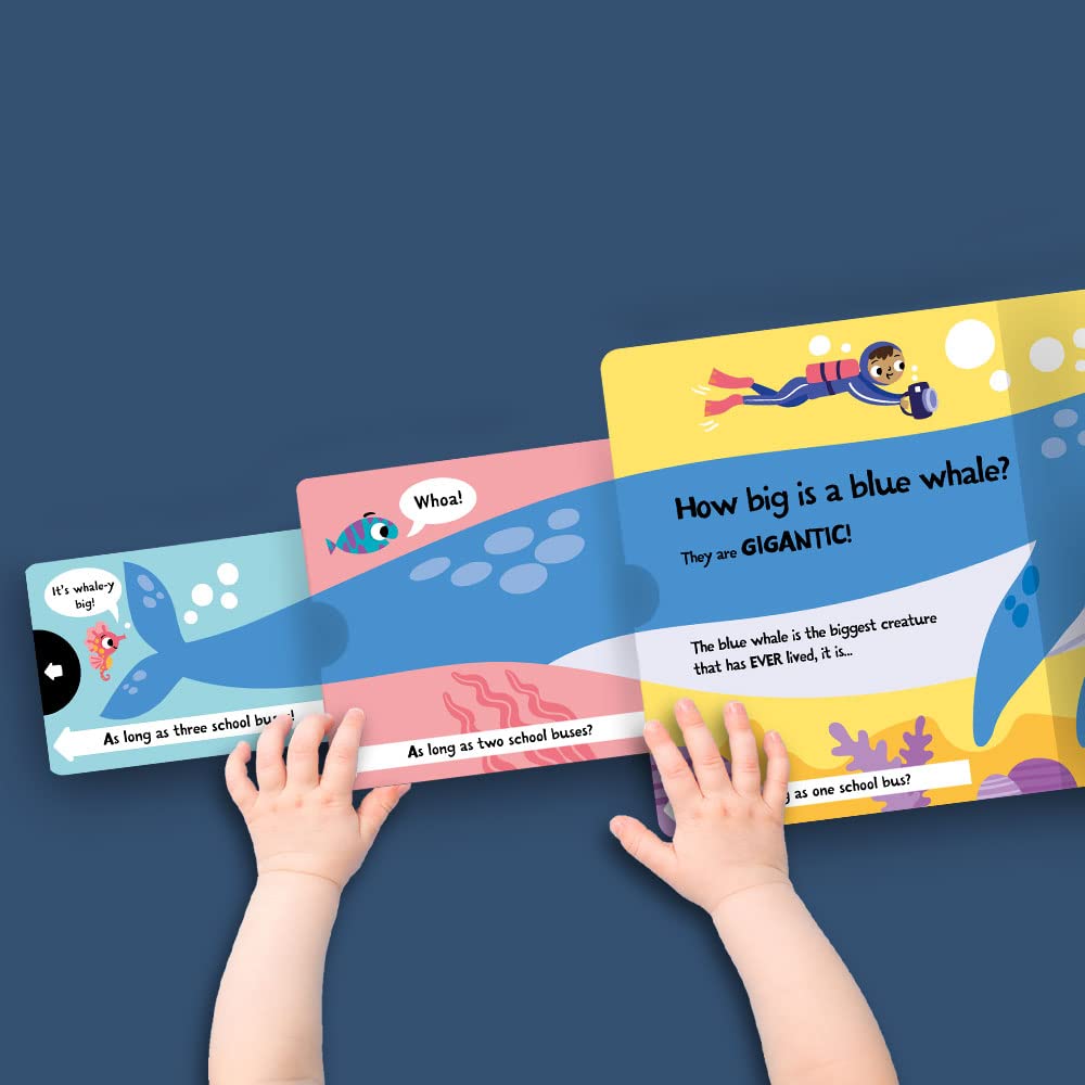 slide and seek - how wide is a whale? - Ảnh 6