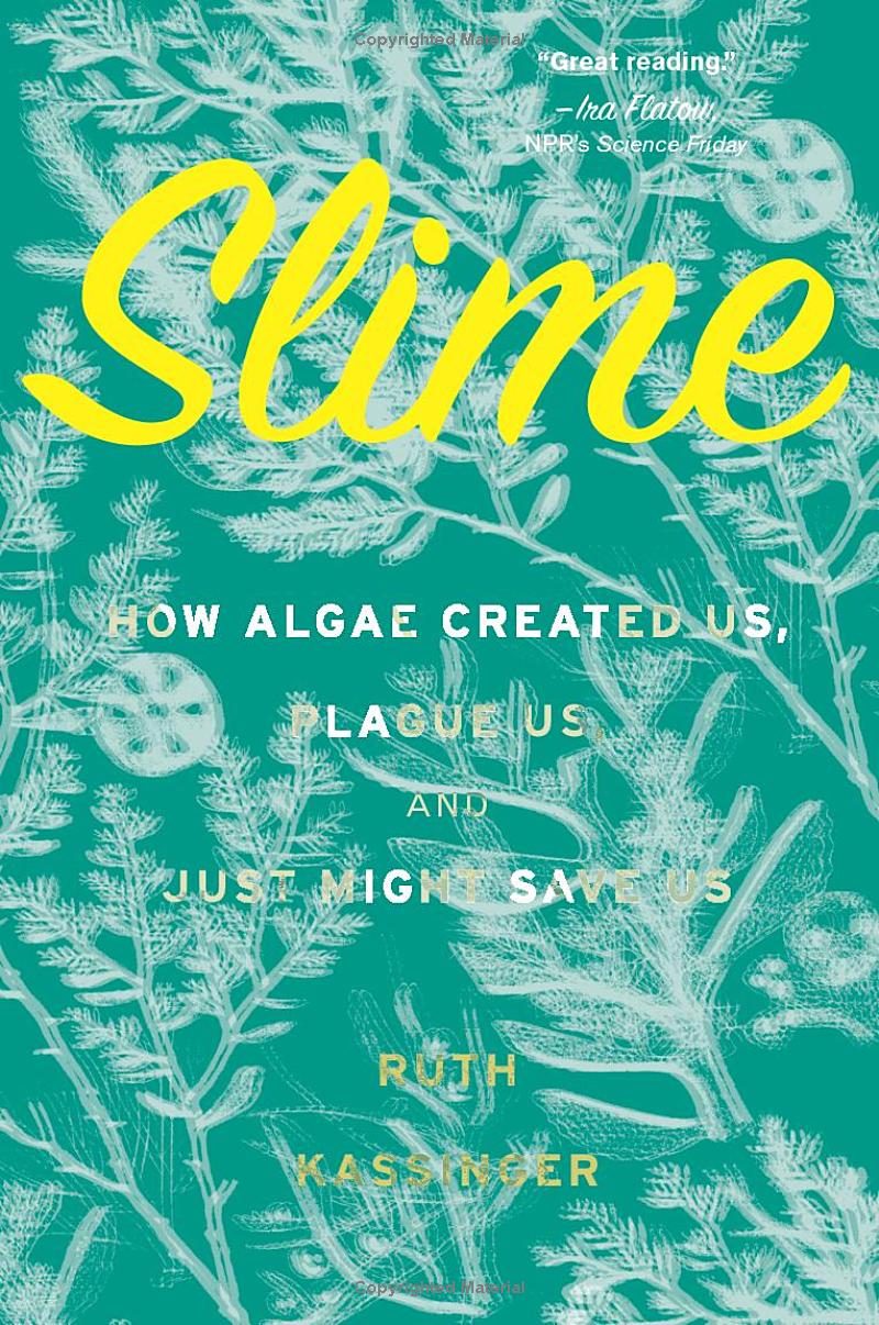 slime - how algae created us, plague us, and just might save us - Ảnh 3