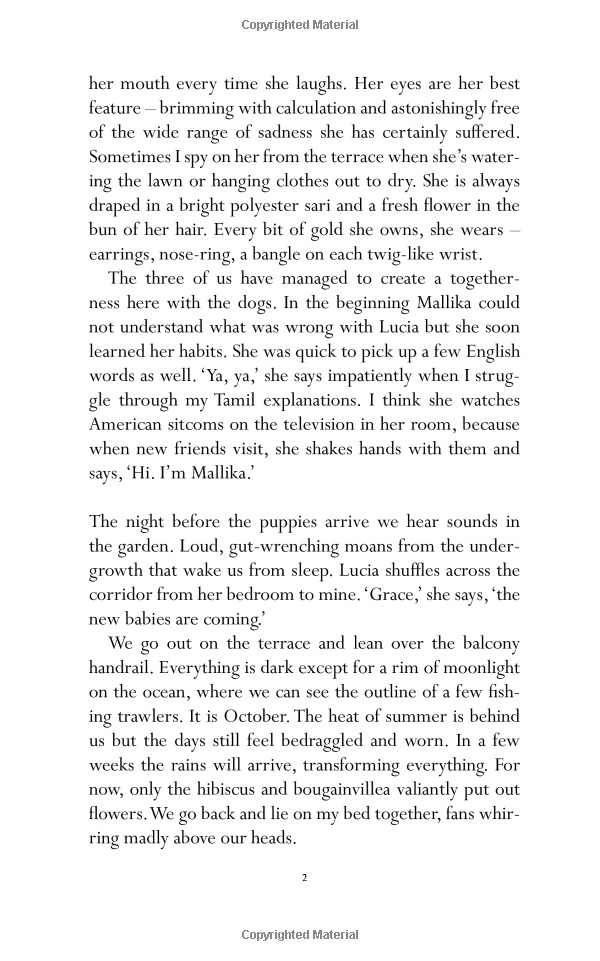 small days and nights - Ảnh 7