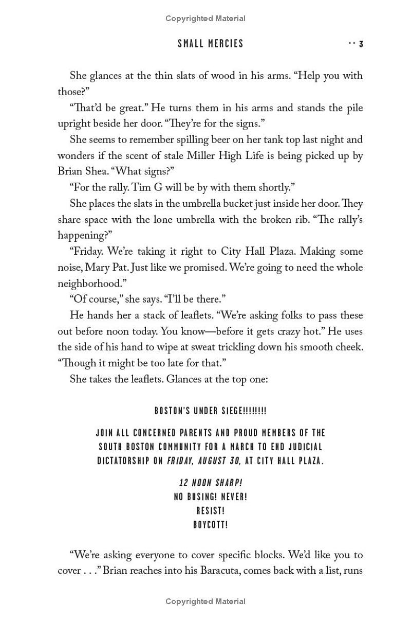 Small Mercies - Ảnh 5