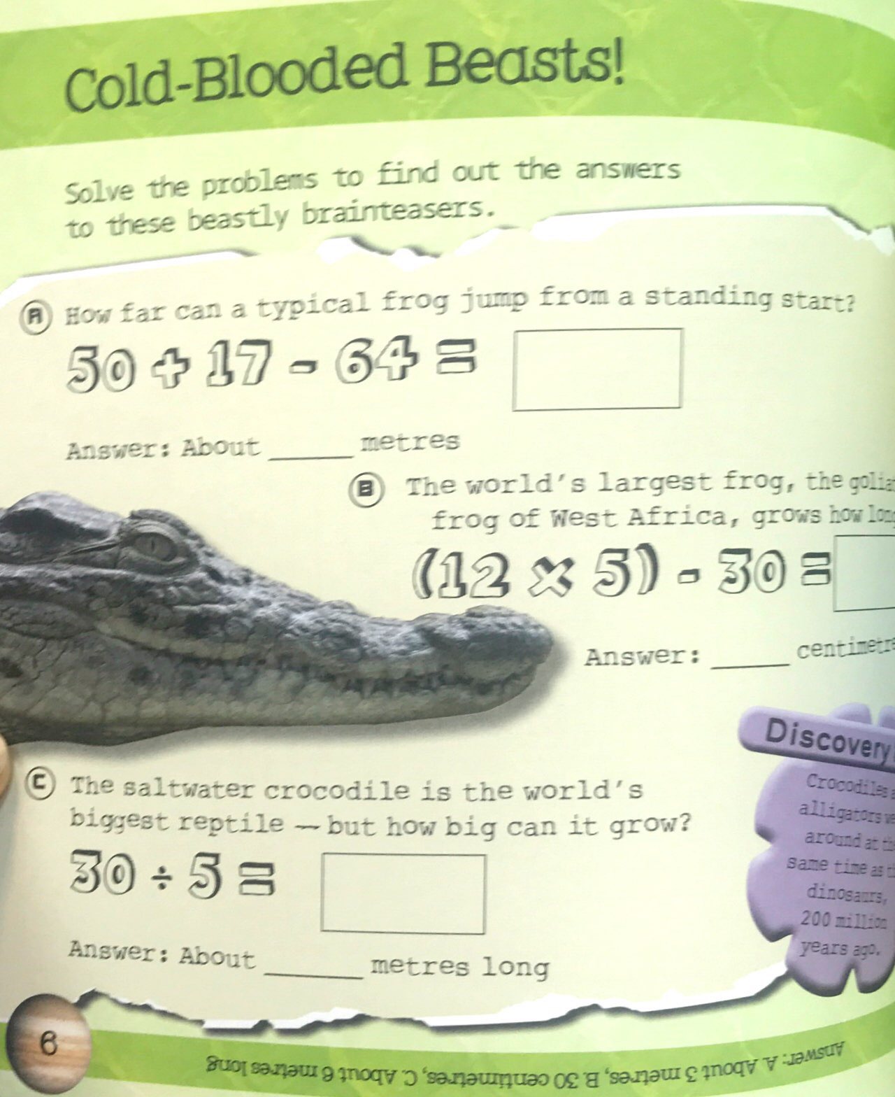 so awesome! puzzle books - Ảnh 6