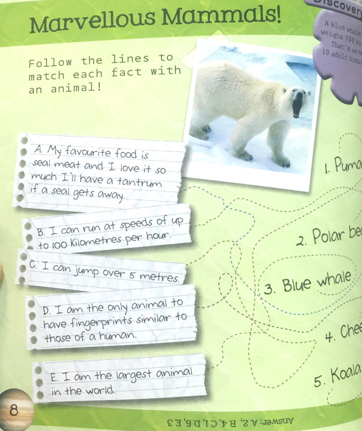 so awesome! puzzle books - Ảnh 8