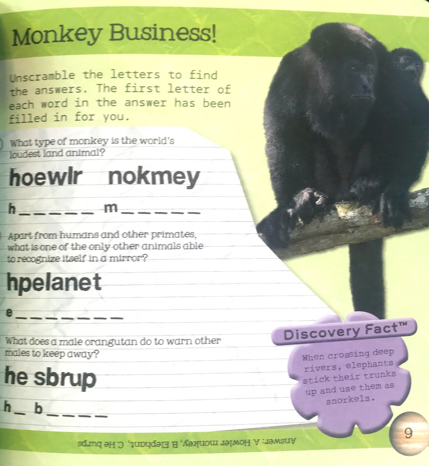 so awesome! puzzle books - Ảnh 9