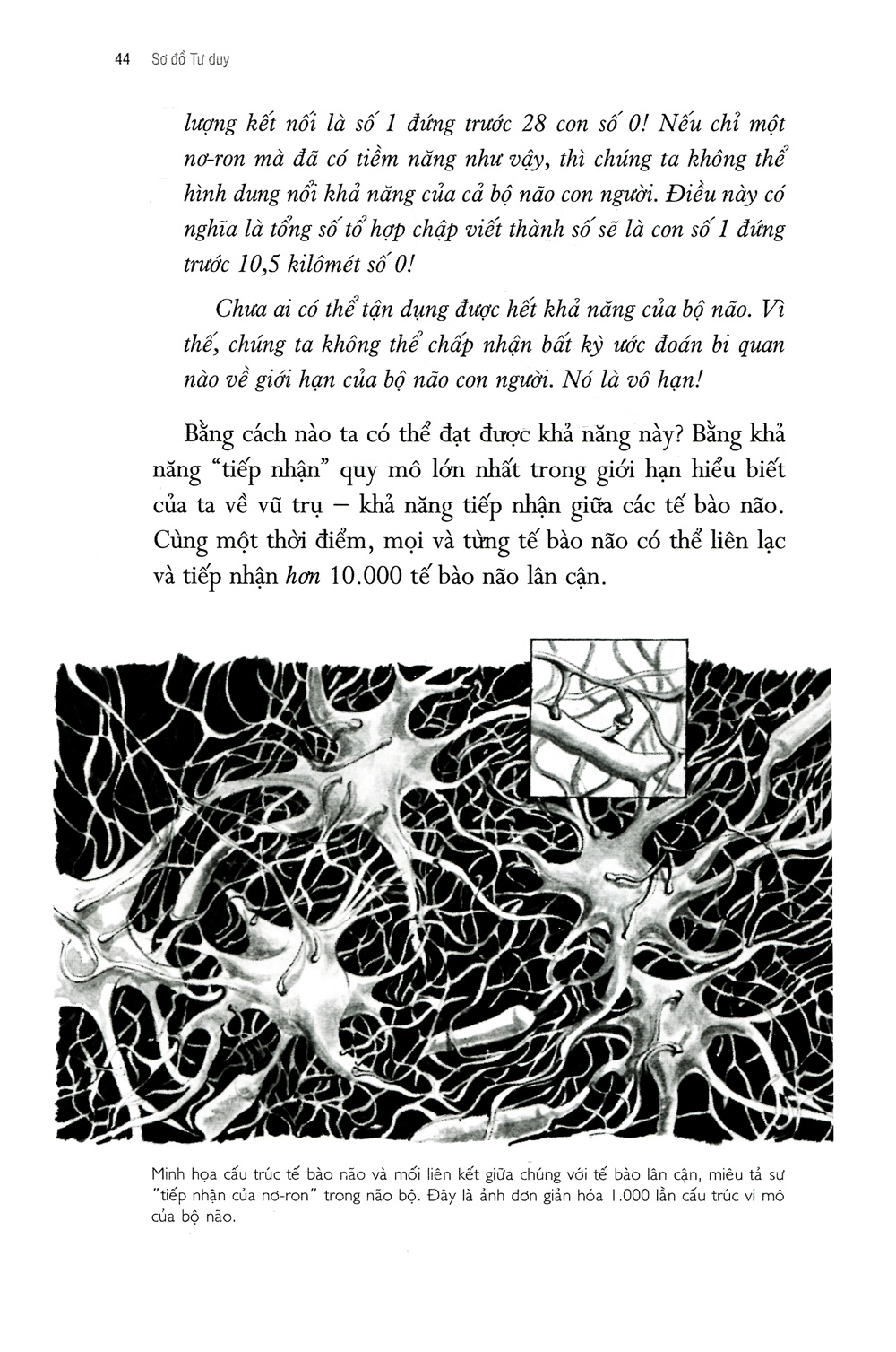 sơ đồ tư duy - Ảnh 11