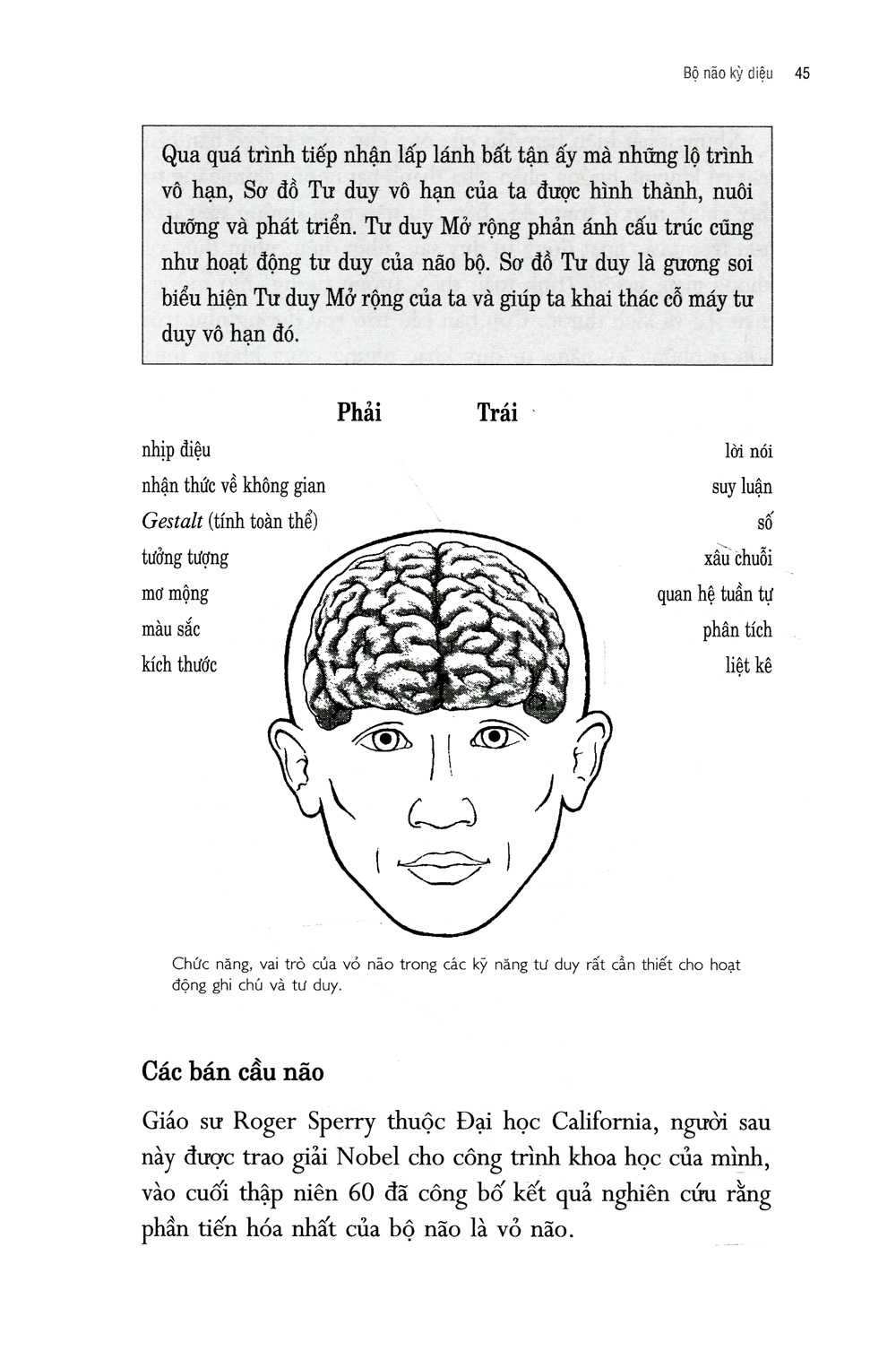 sơ đồ tư duy - Ảnh 12