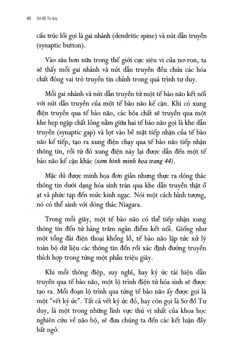 sơ đồ tư duy - Ảnh 9