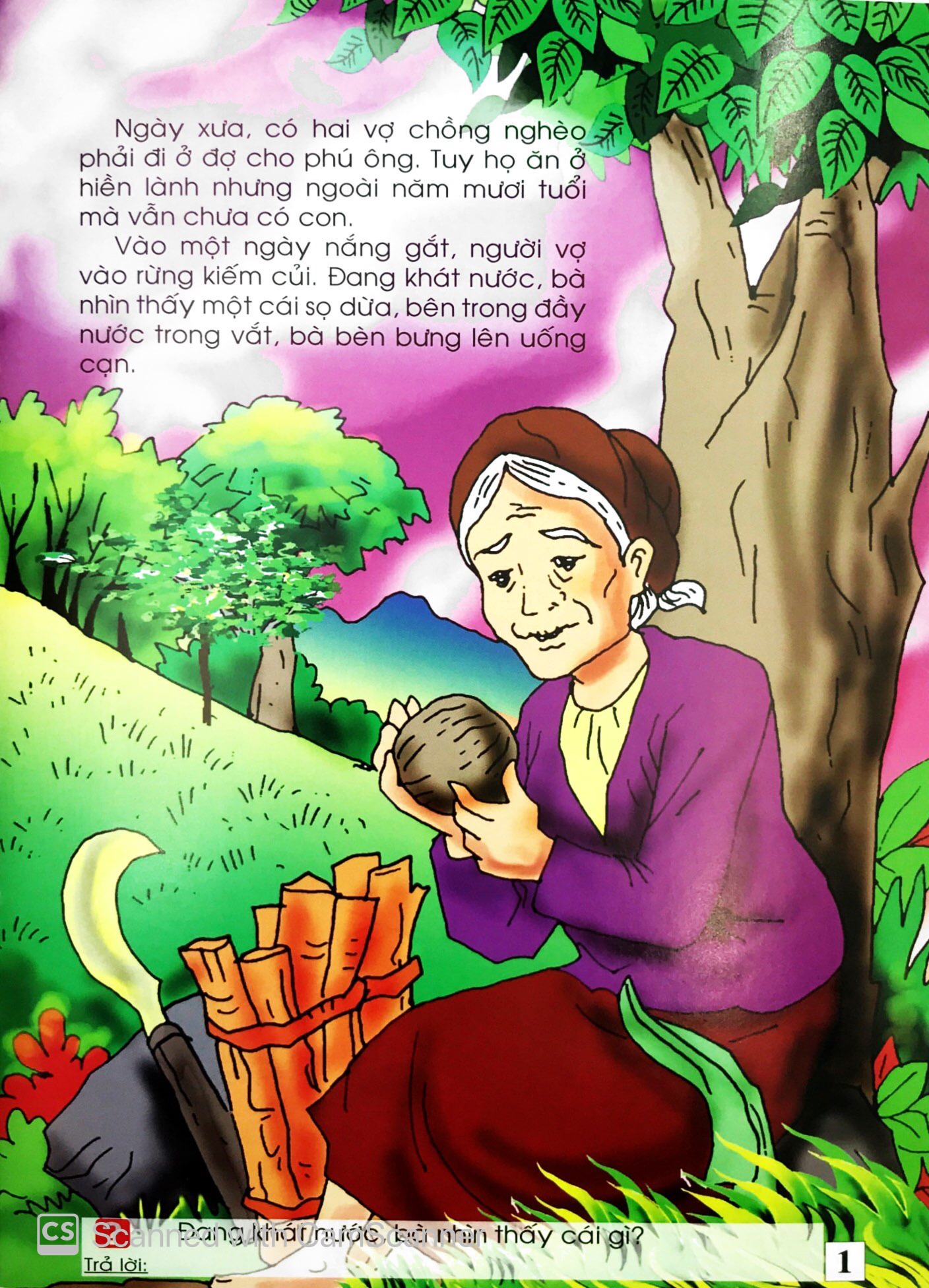 sọ dừa - truyện cổ tích việt nam - Ảnh 3