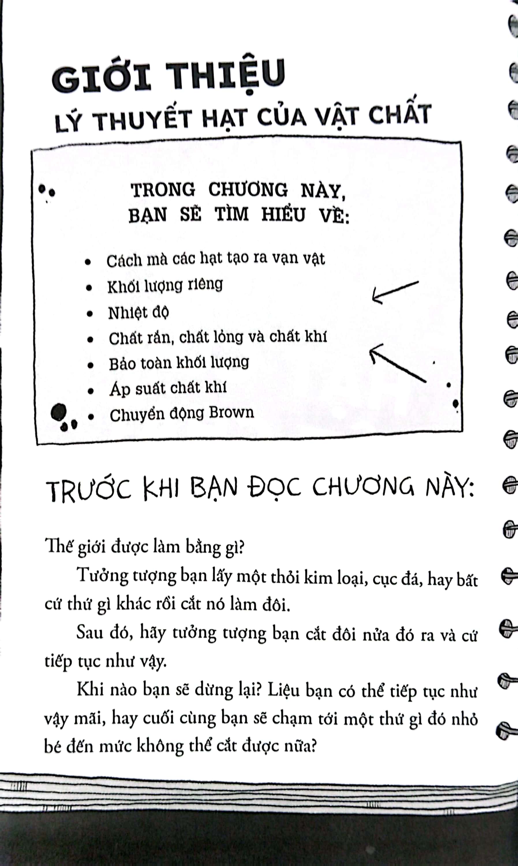 sợ gì môn lý - từ ba định luật newton đến những chú ếch bay - Ảnh 5