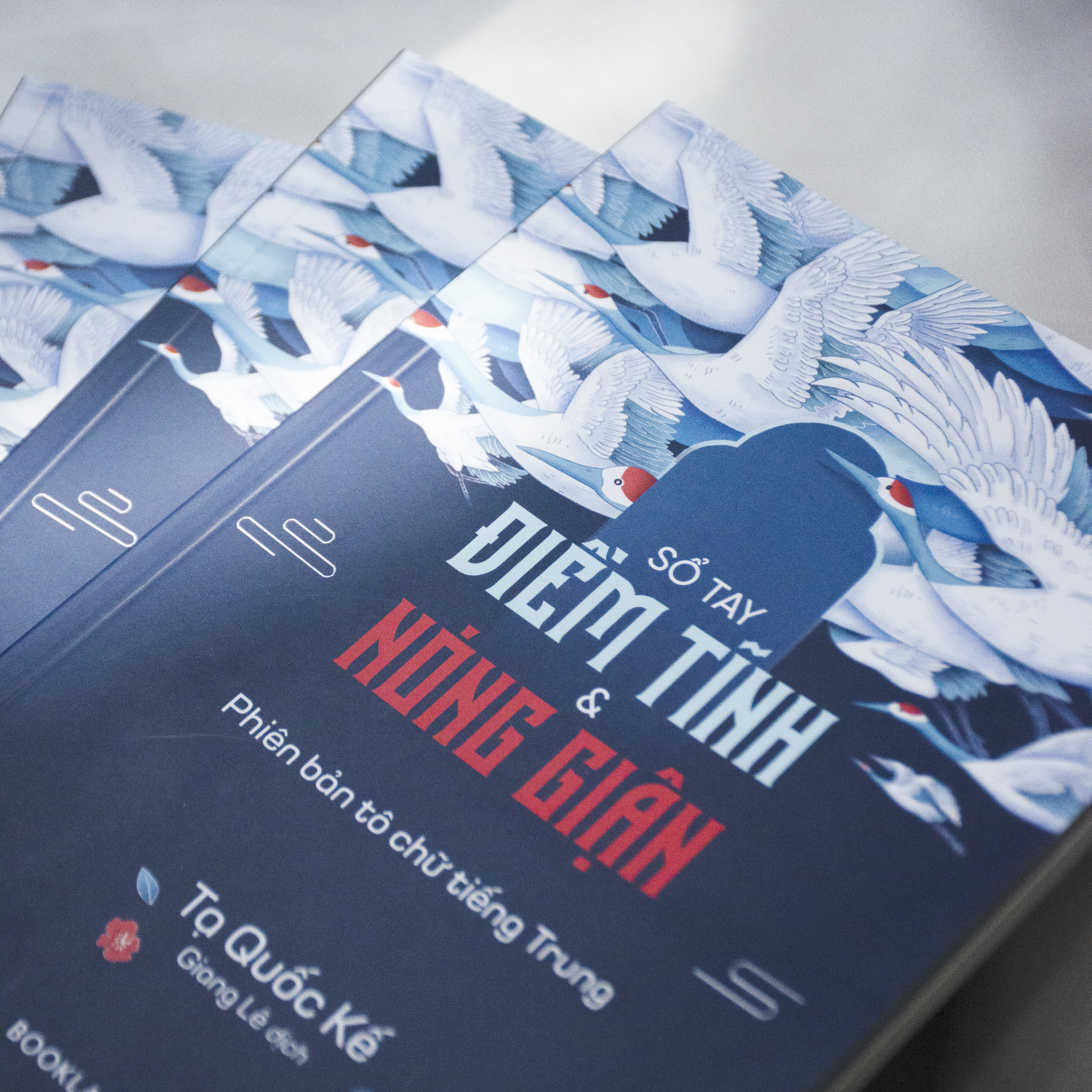 Sổ Tay Điềm Tĩnh Và Nóng Giận - Phiên Bản Tô Chữ Tiếng Trung - Ảnh 5